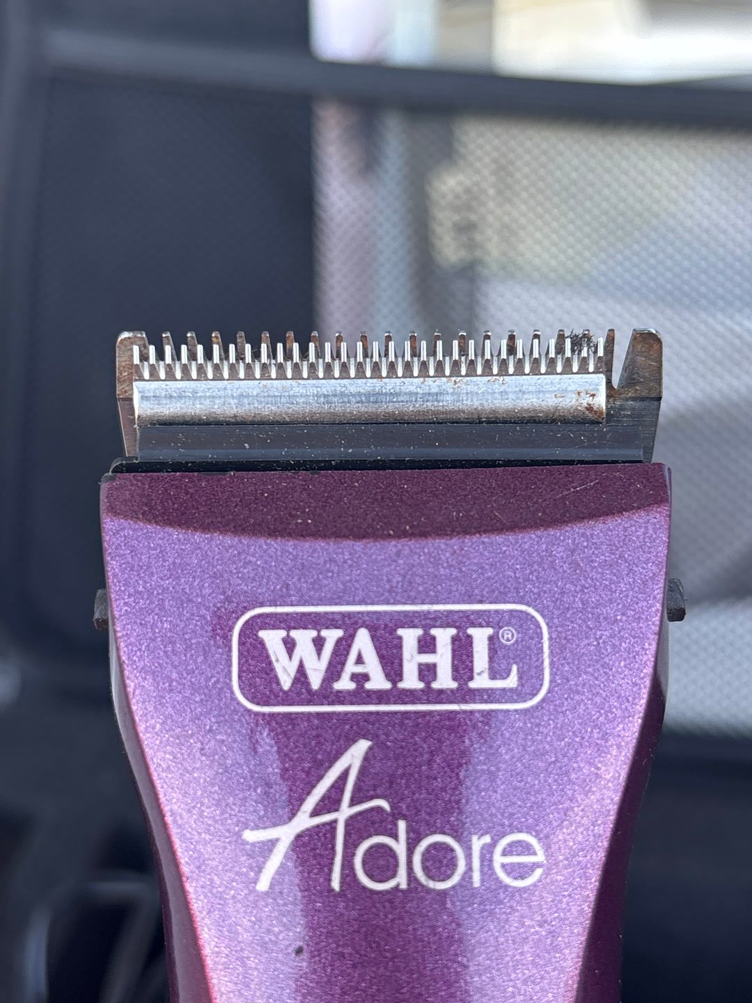 Tondeuse Wahl, média 4