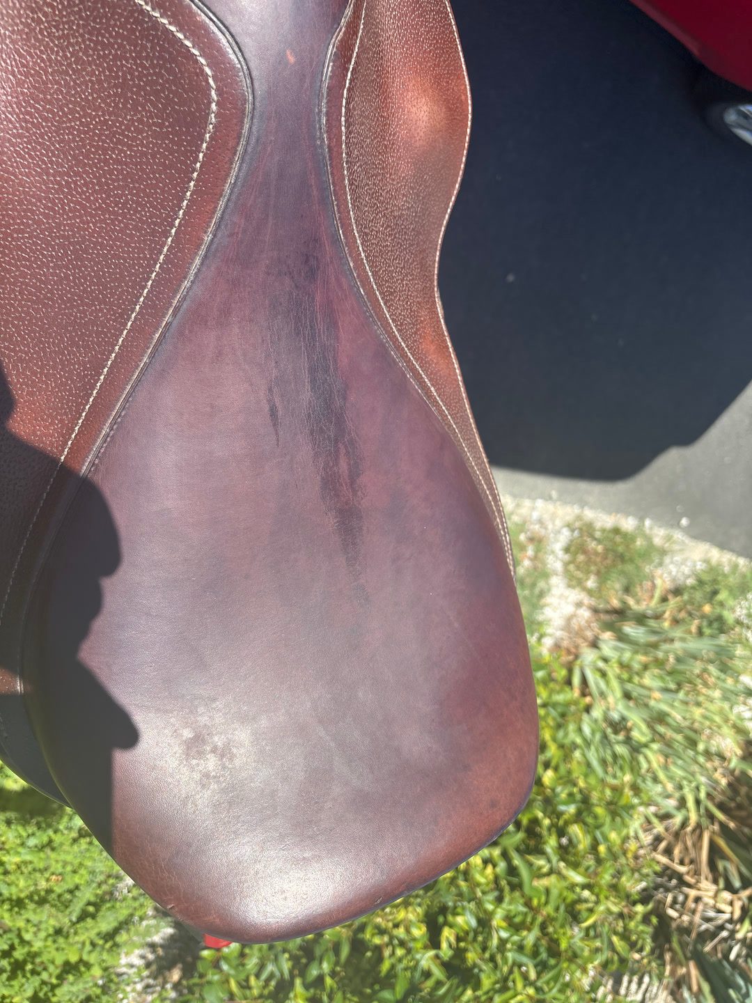 Selle Protanner, média 5