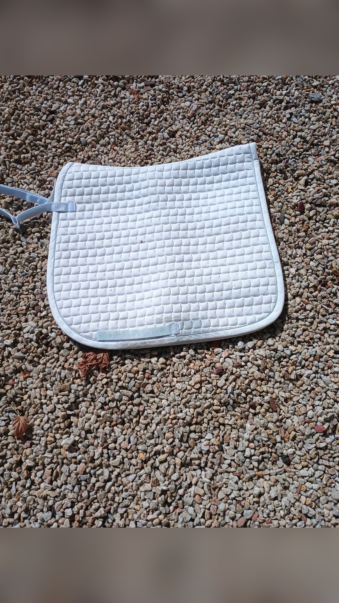 Tapis de dressage, média 2
