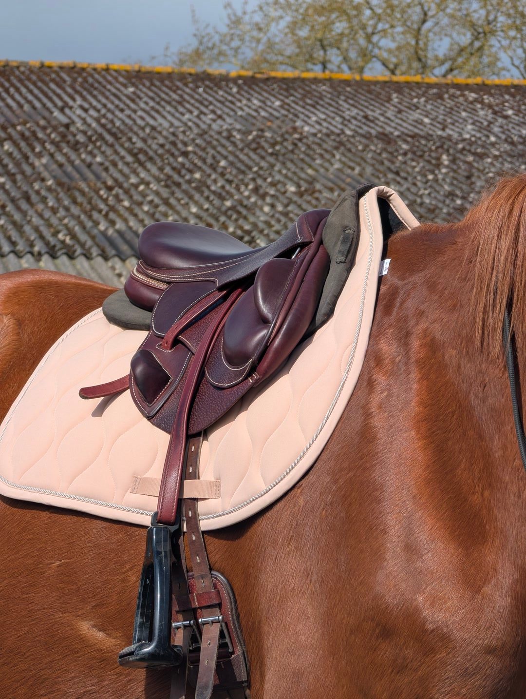Selle Lucyfer Platinium, média 3