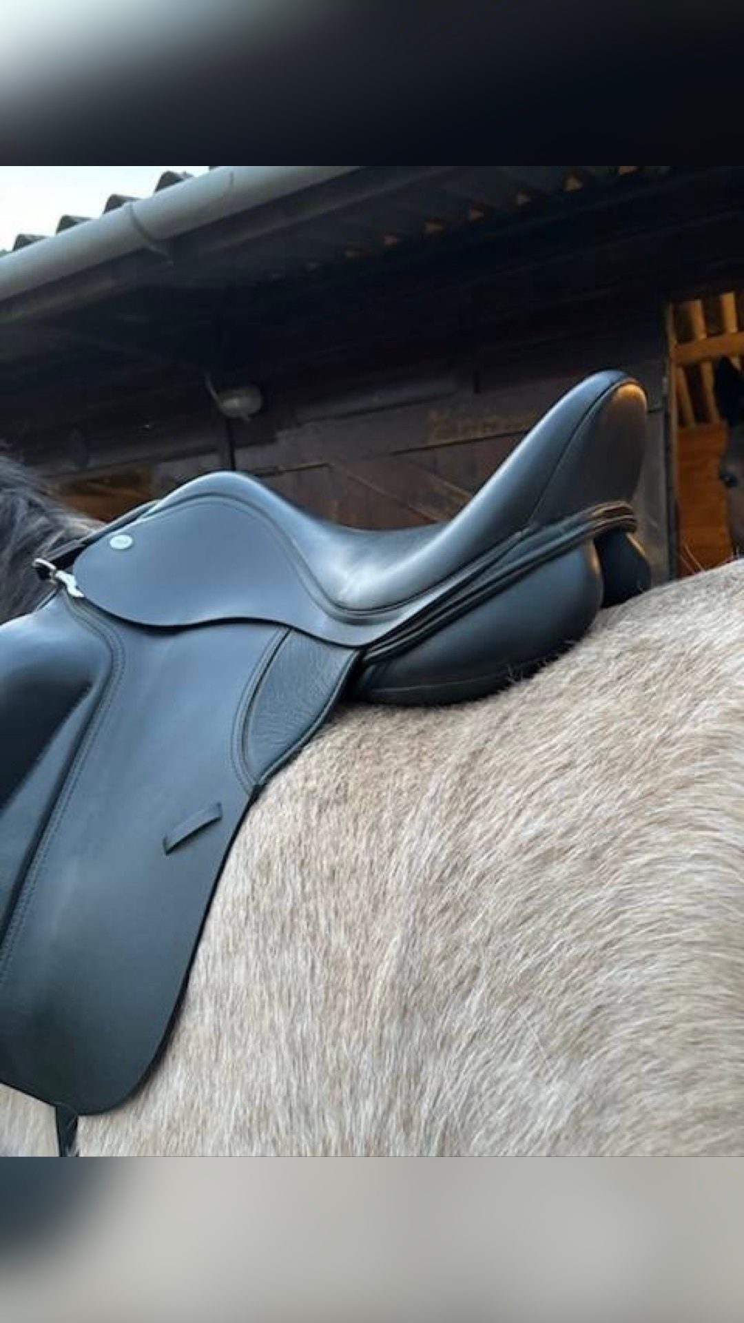 Selle Thorowgood, média 6