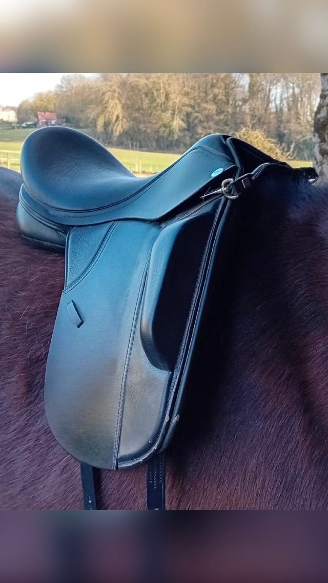 Selle Thorowgood, média 3