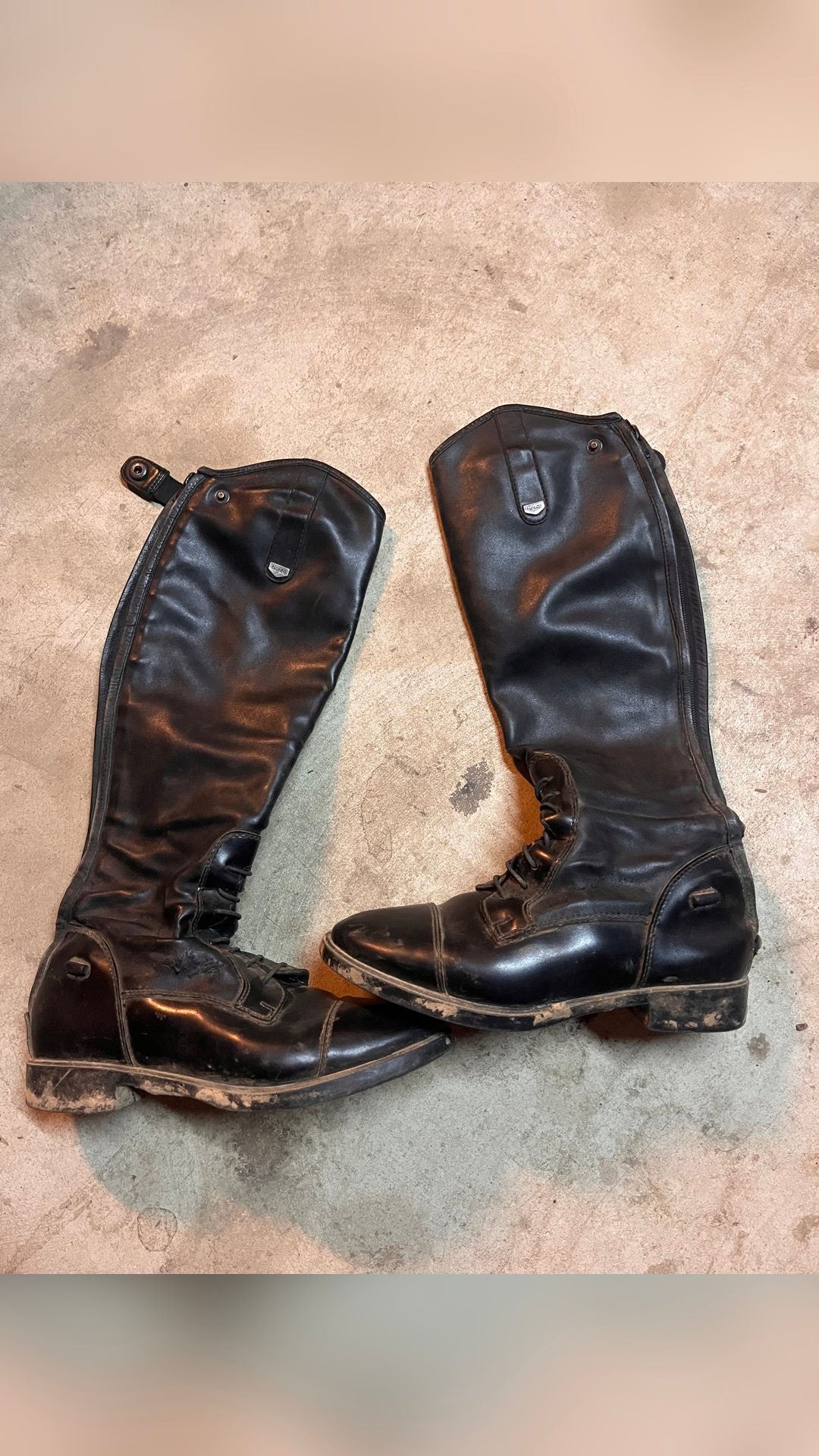 Bottes Horze, média 5