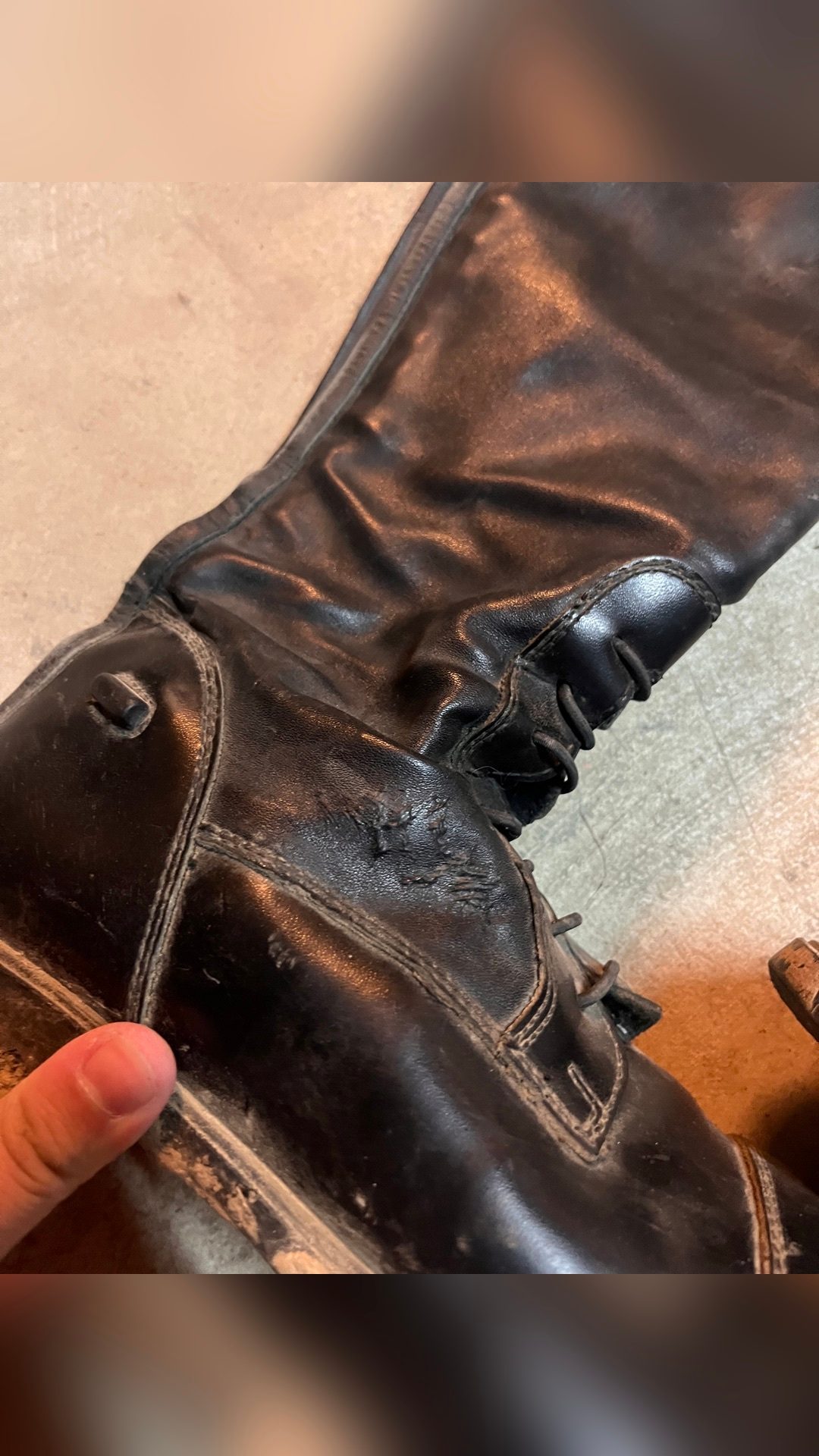 Bottes Horze, média 6