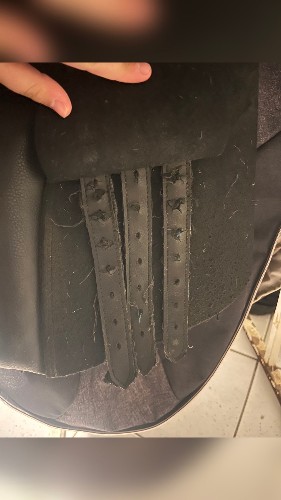 Selle Star, média 8