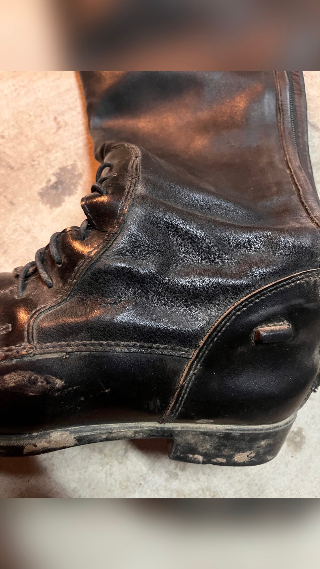 Bottes Horze, média 7