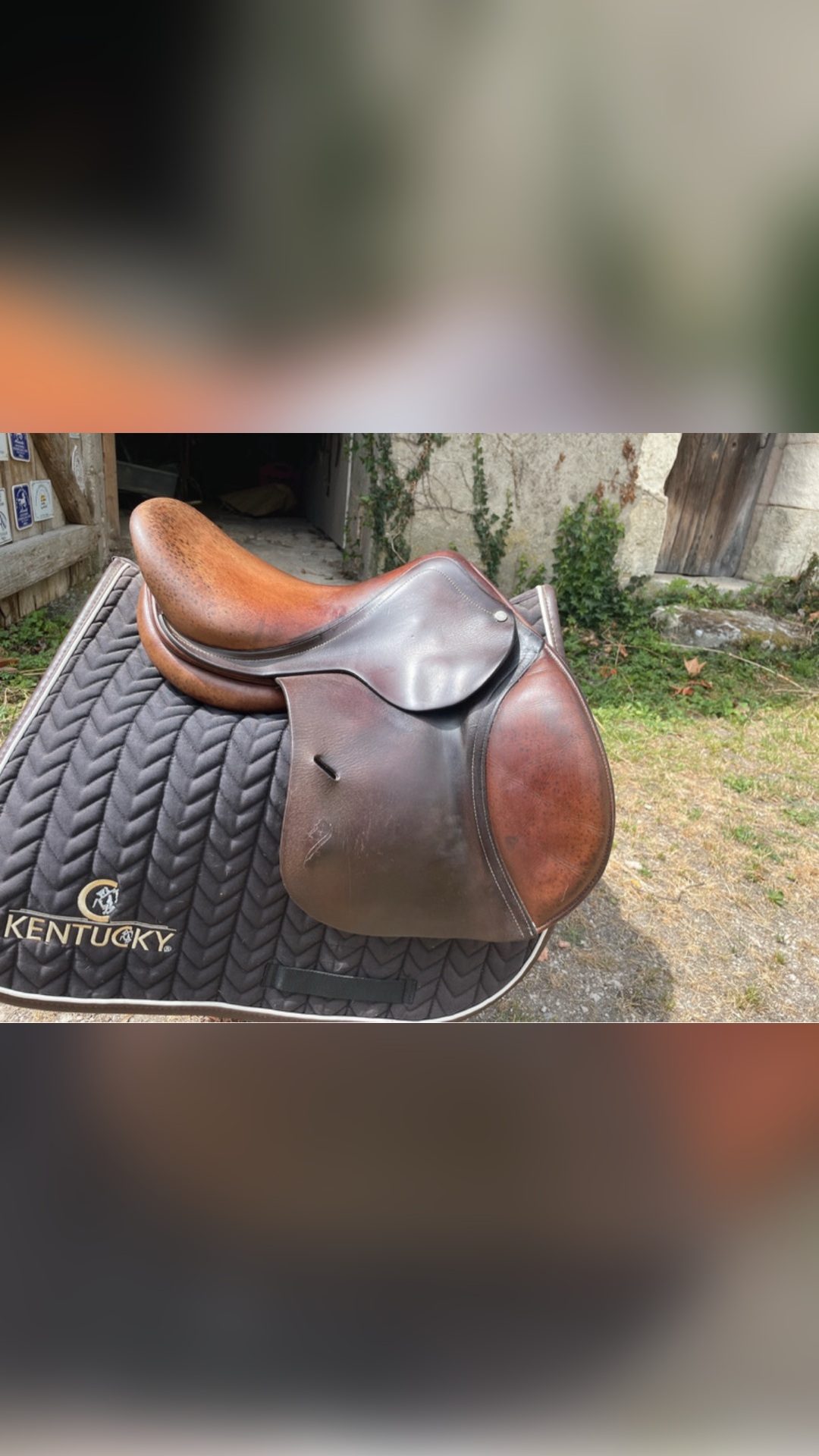 Selle Antarès 15”, média 9