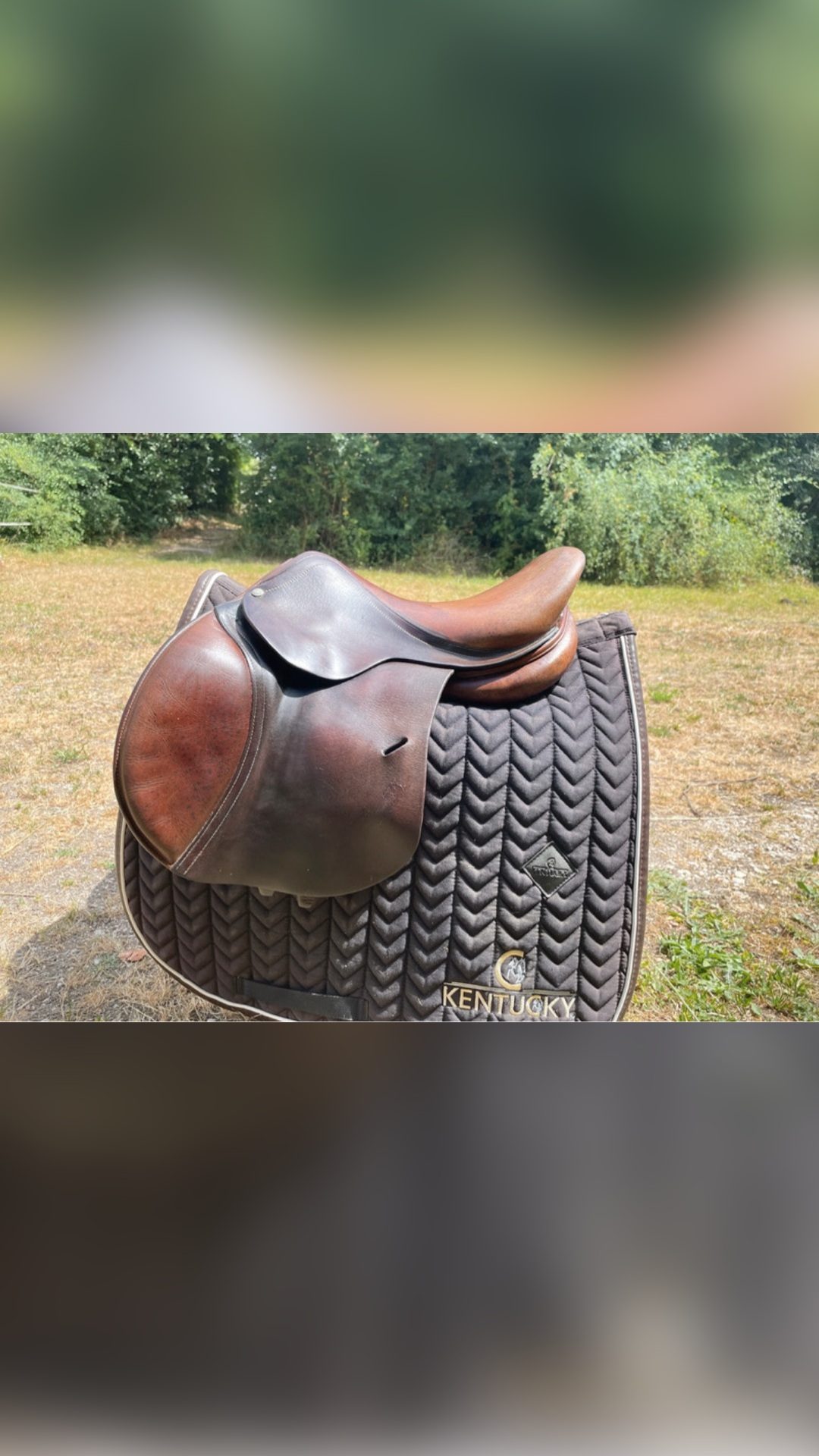 Selle Antarès 15”, média 10
