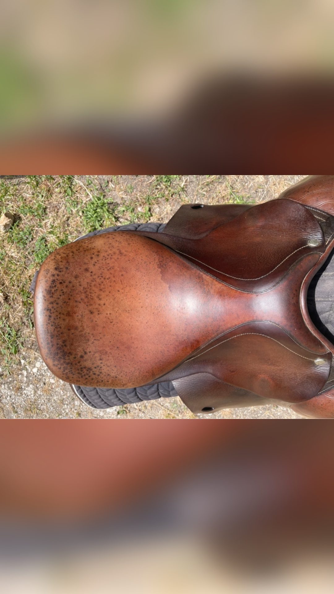 Selle Antarès 15”, média 8