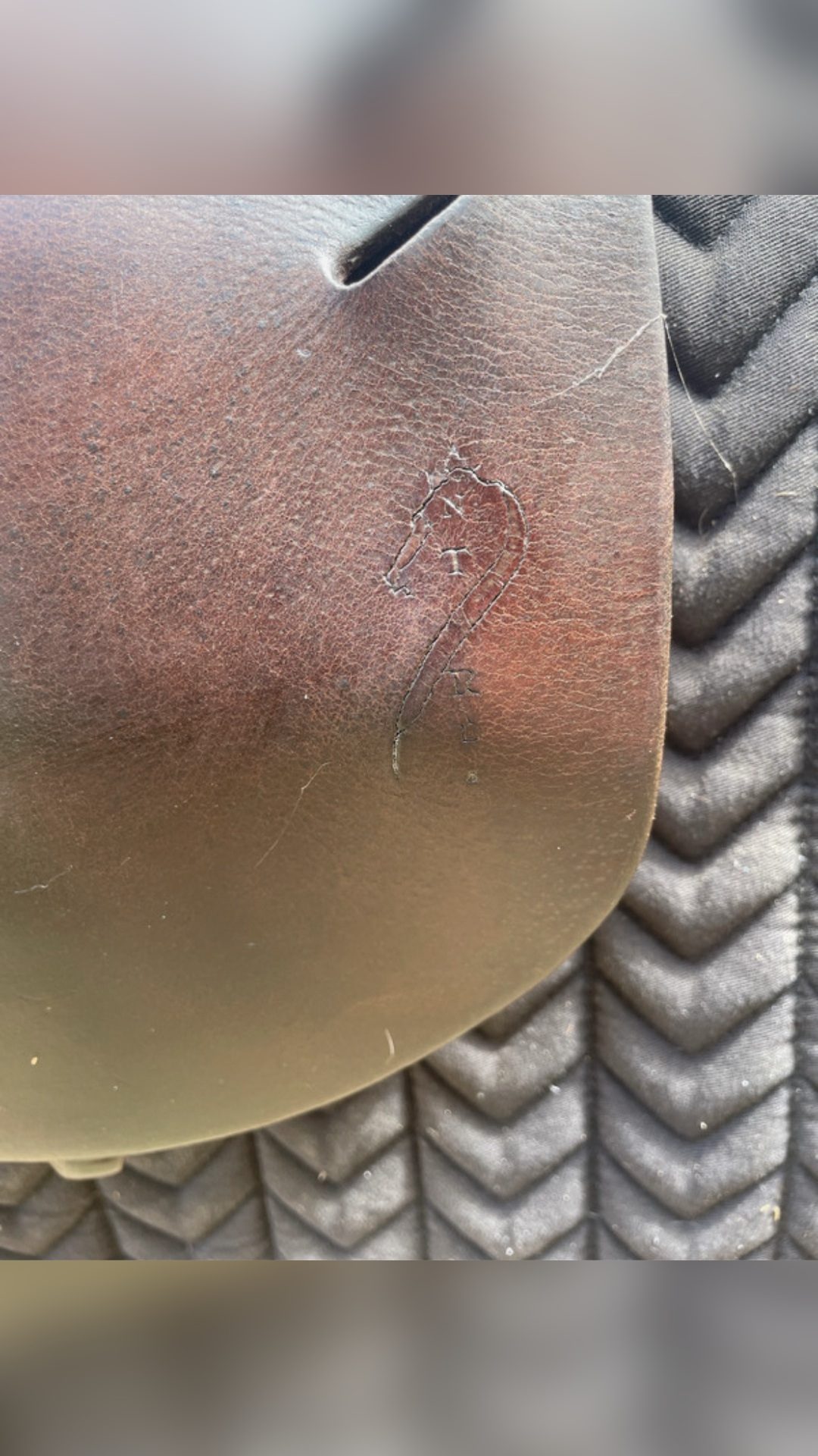 Selle Antarès 15”, média 7