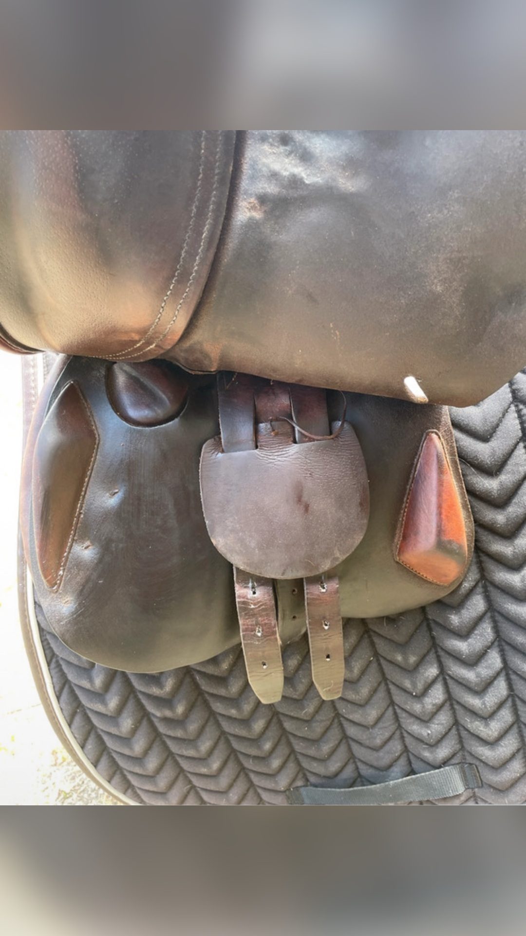 Selle Antarès 15”, média 4