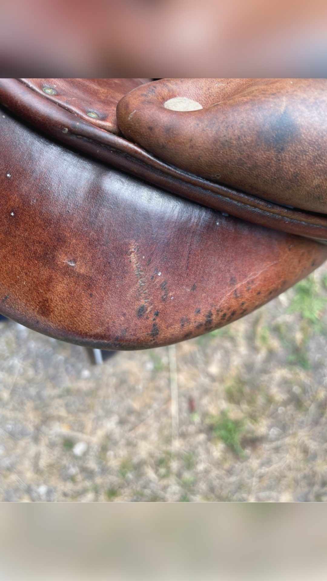 Selle Antarès 15”, média 5