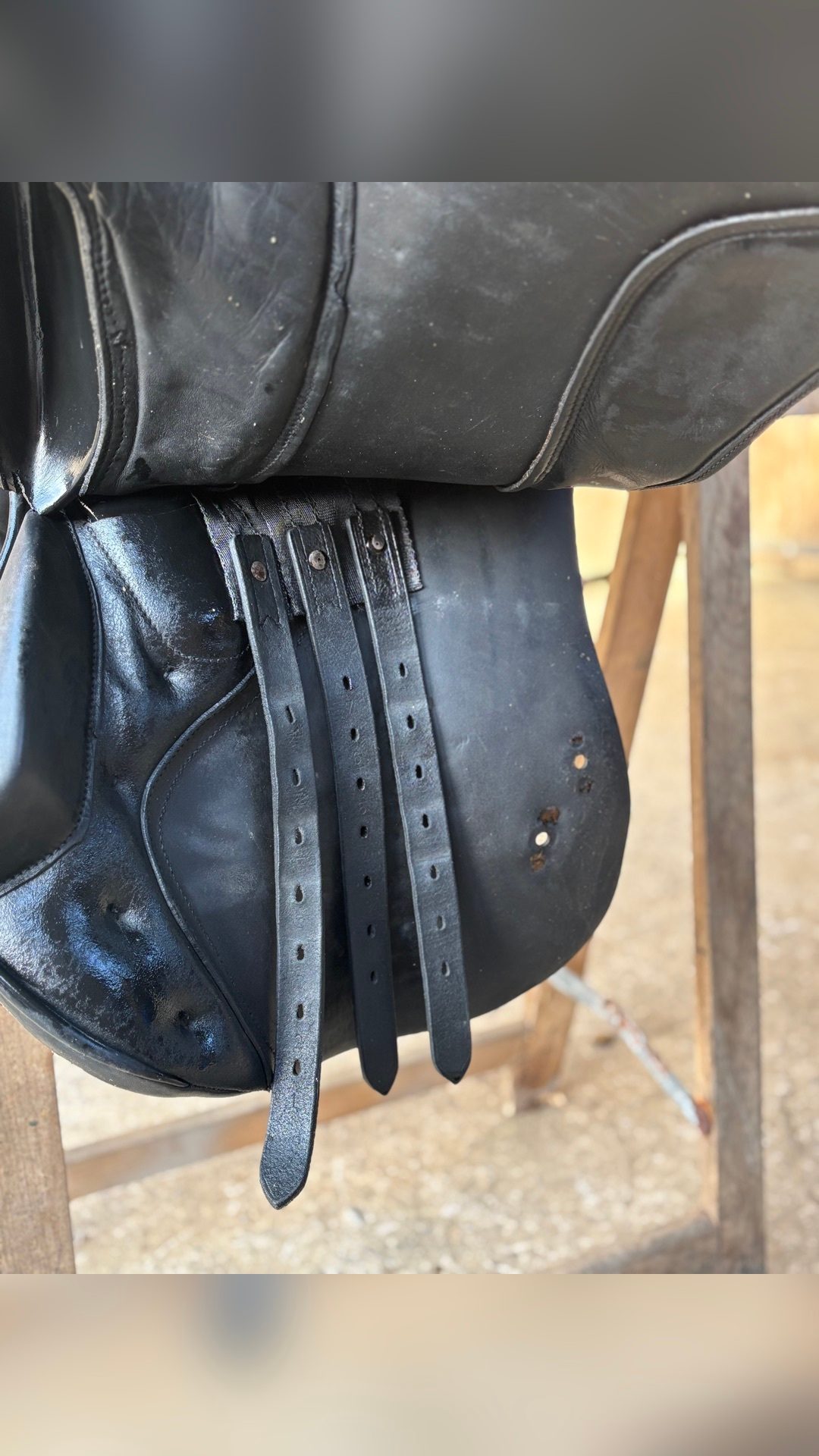 Selle de dressage noir, média 3
