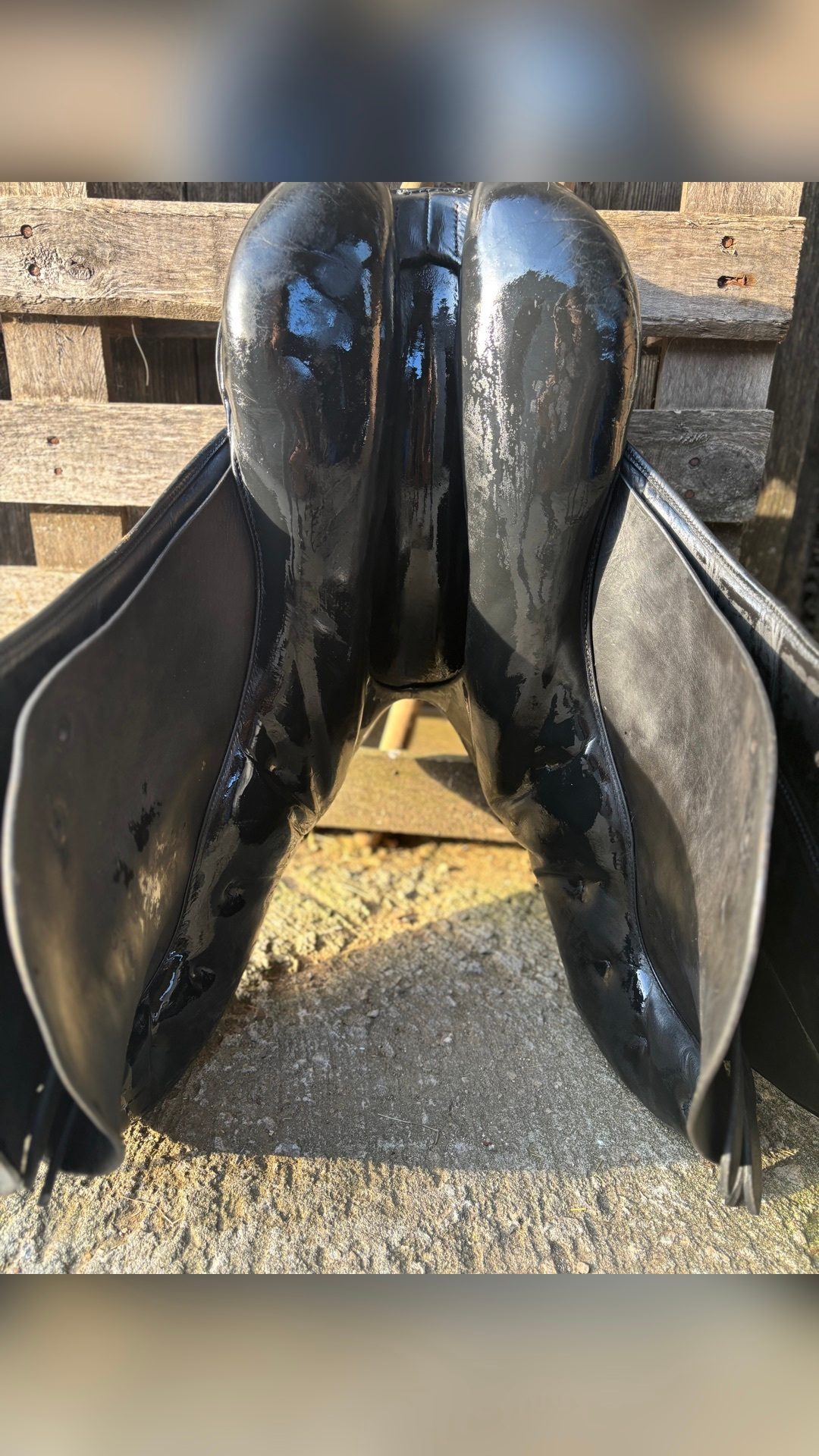 Selle de dressage noir, média 6