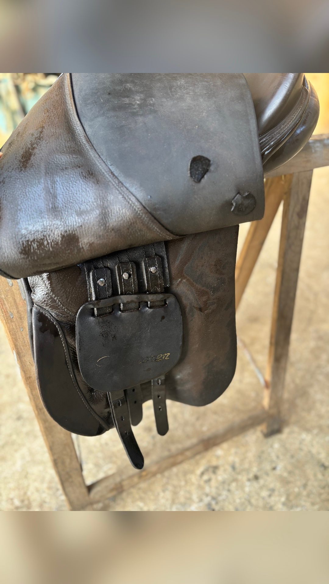 Selle de dressage brune, média 3