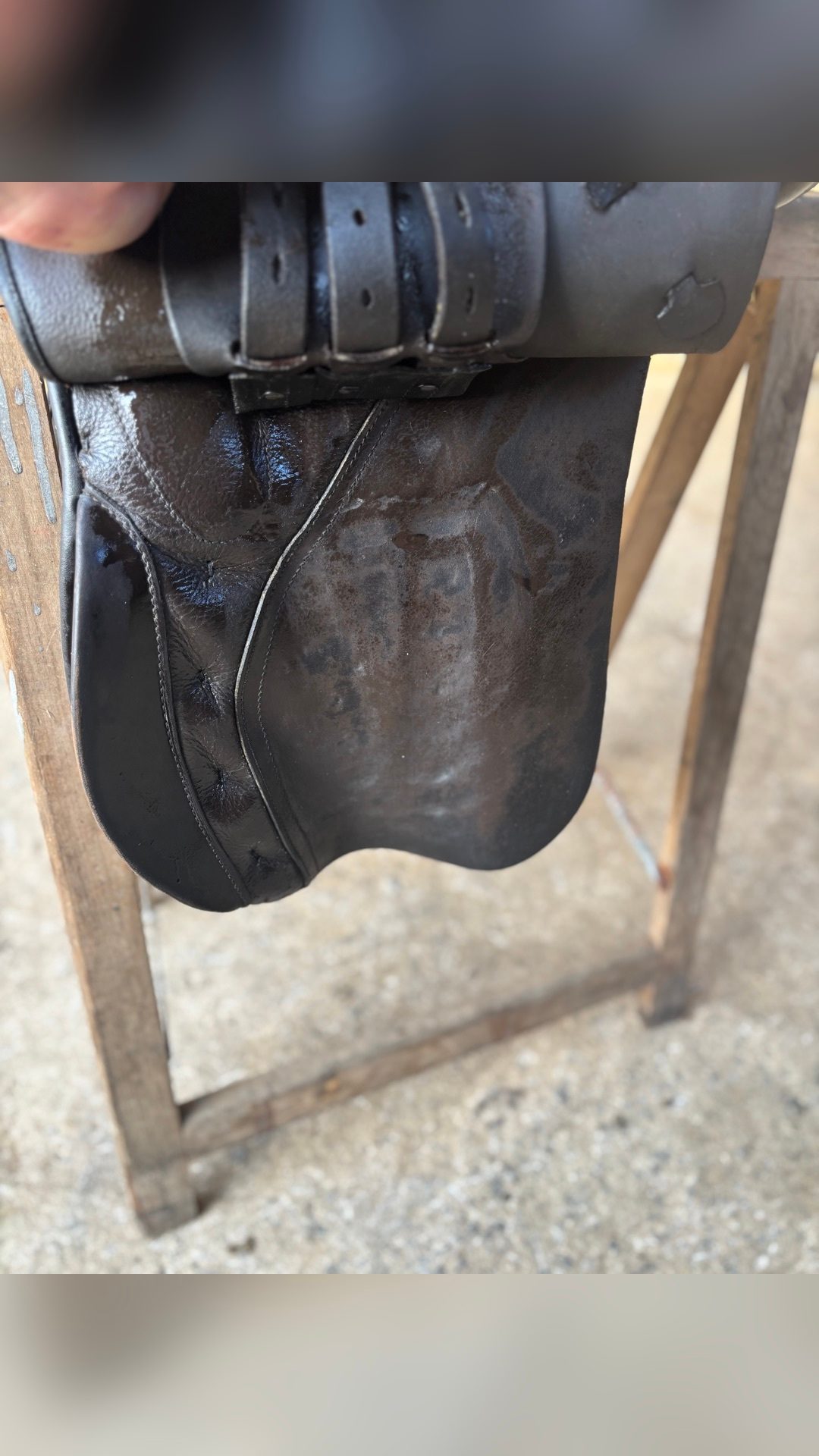 Selle de dressage brune, média 5