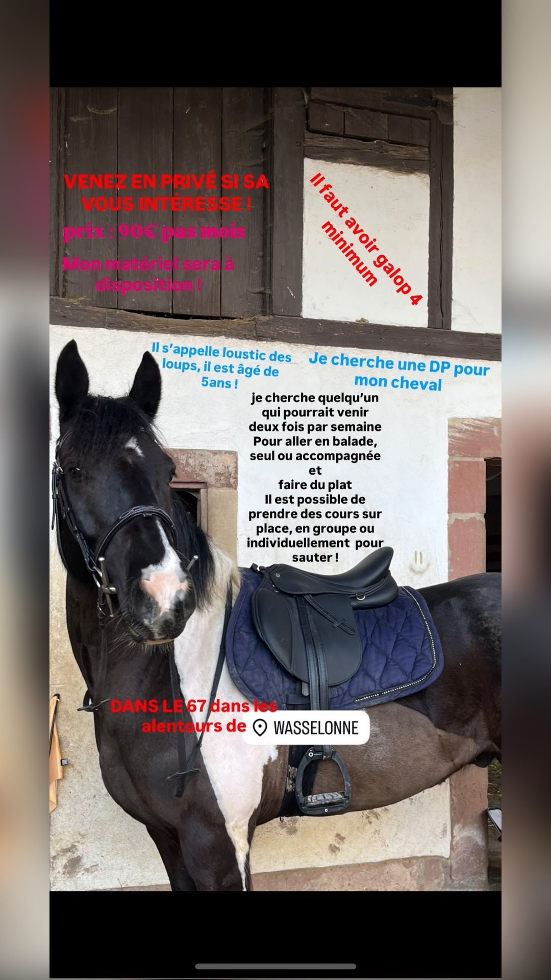 LOUSTIC DES LOUPS, média 7