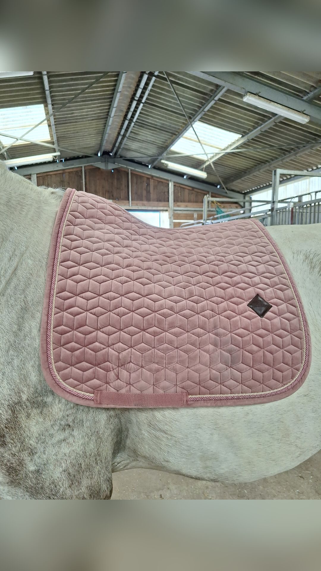 Tapis Kentucky dressage rose, média 2