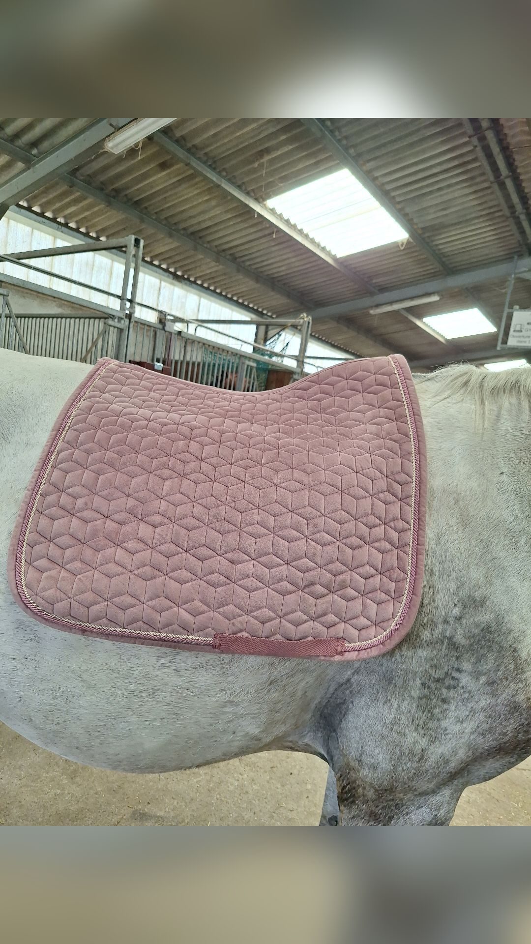 Tapis Kentucky dressage rose, média 3