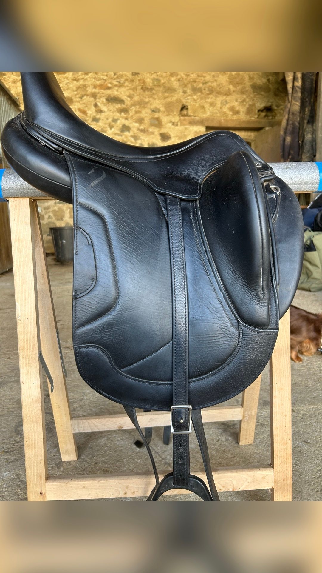 Selle dressage Antarès, média 3