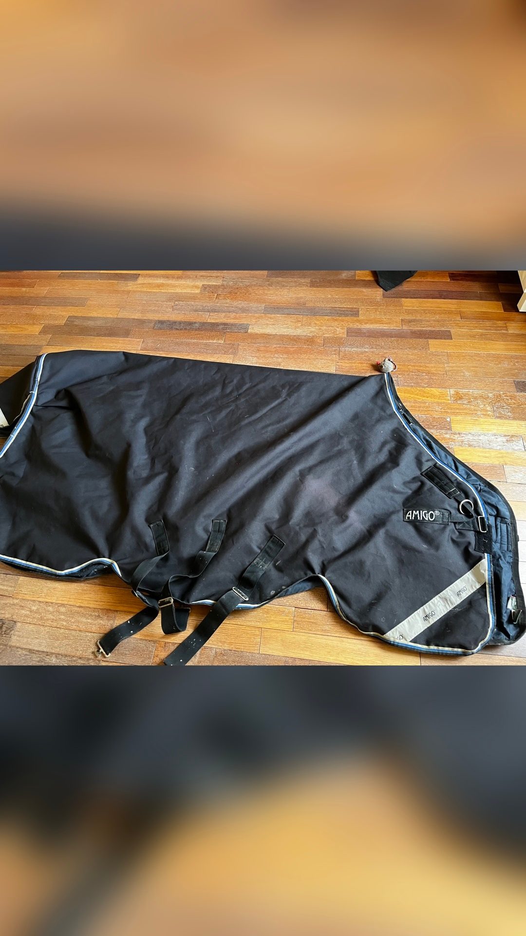 Couverture extérieure Horseware Amigo Plus 250g, média 4