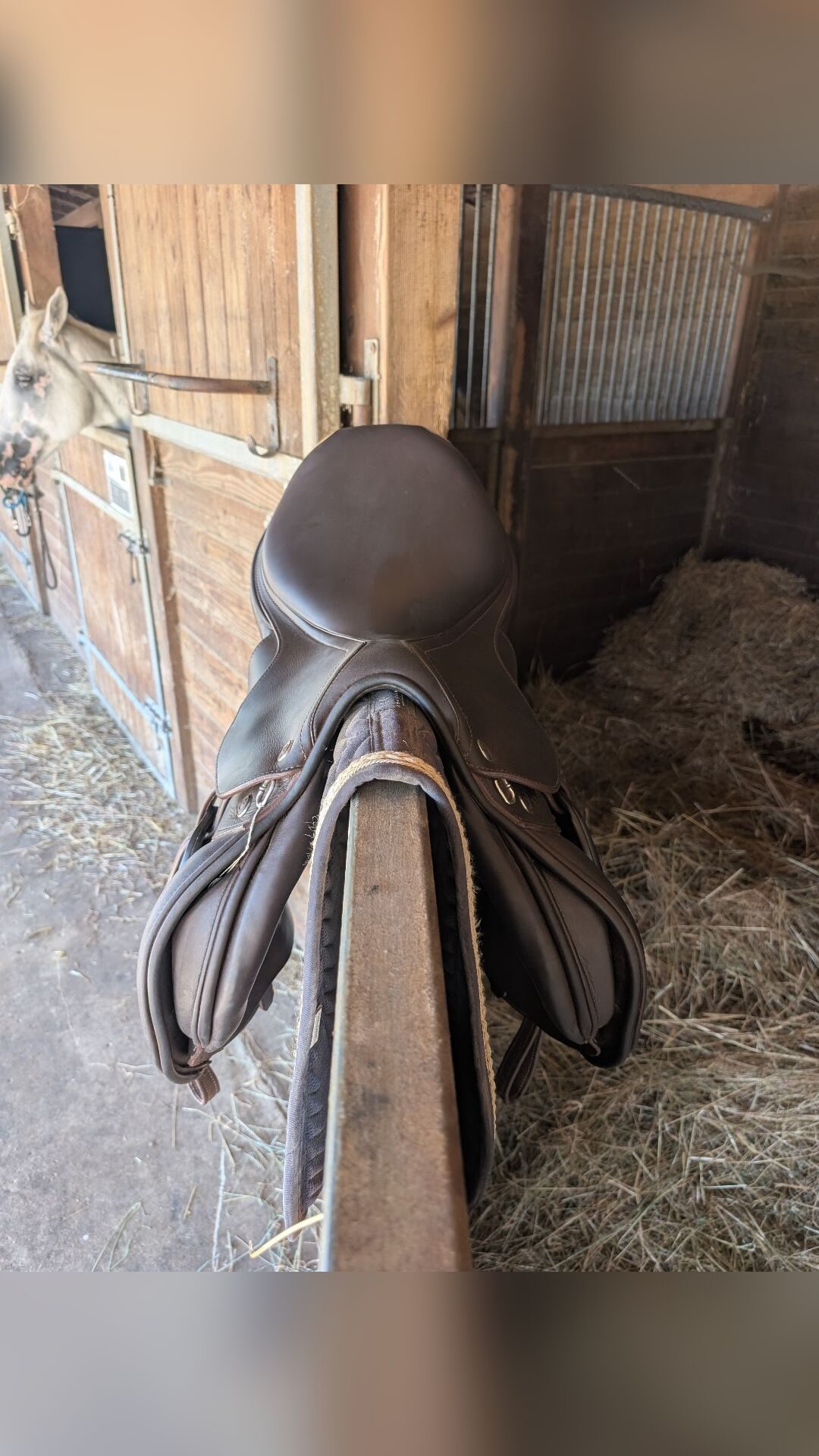 Selle Prestige Italia, média 2