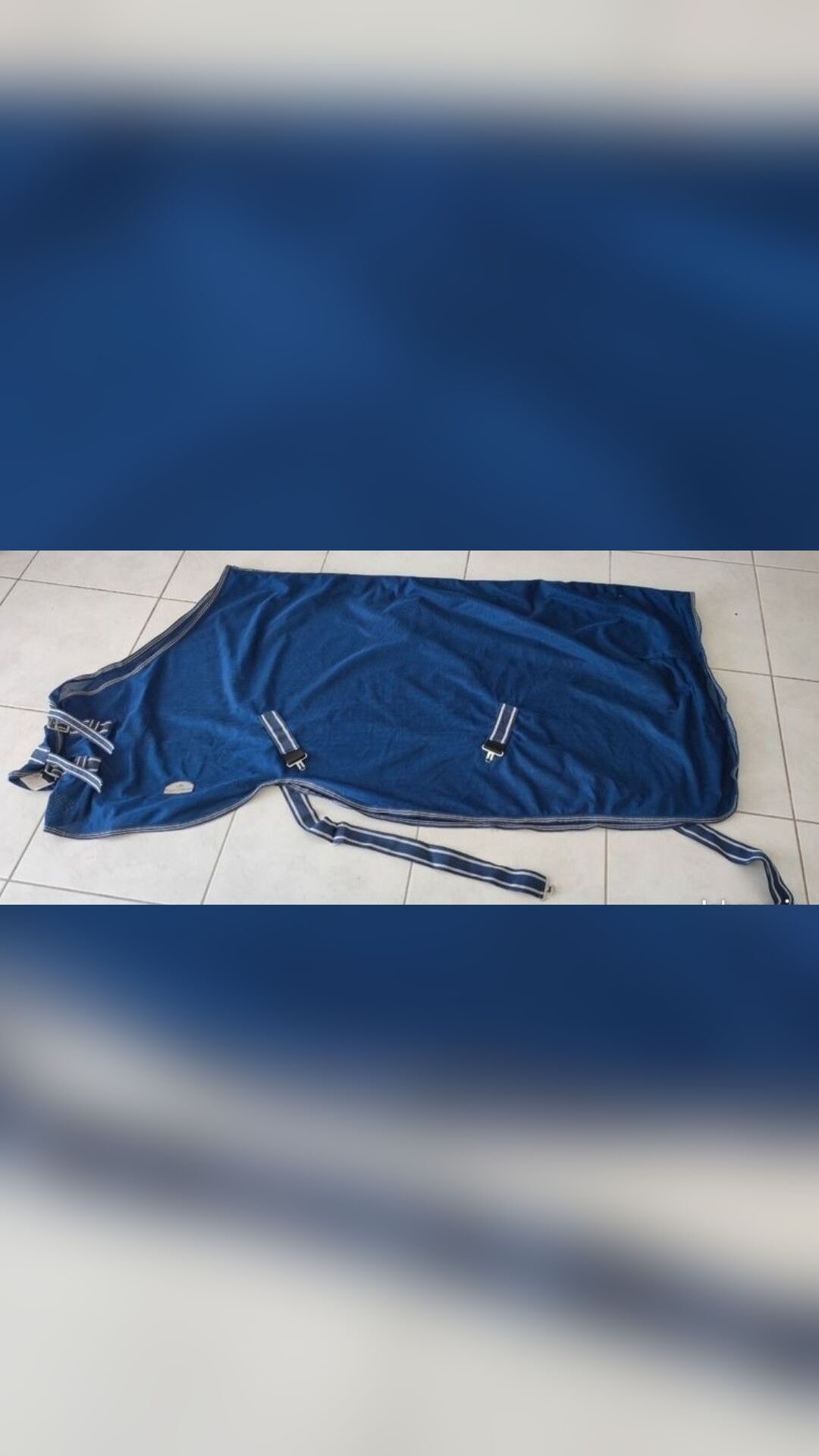 Tapis Cheval Liberté, média 2