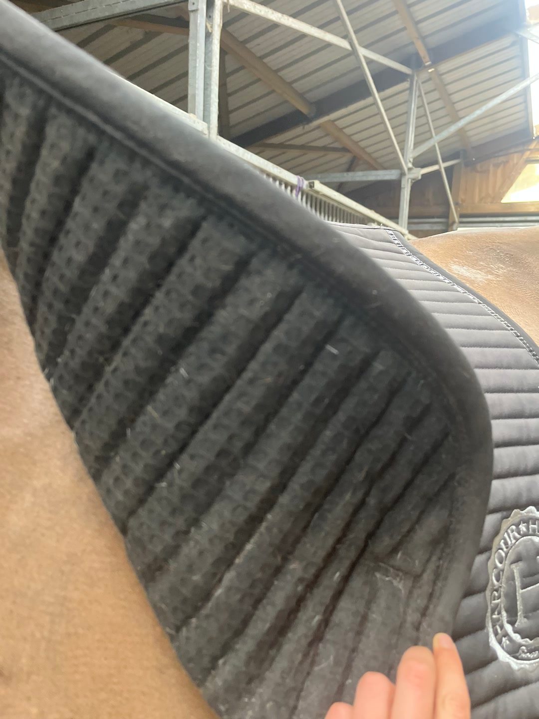 tapis harcour, média 4