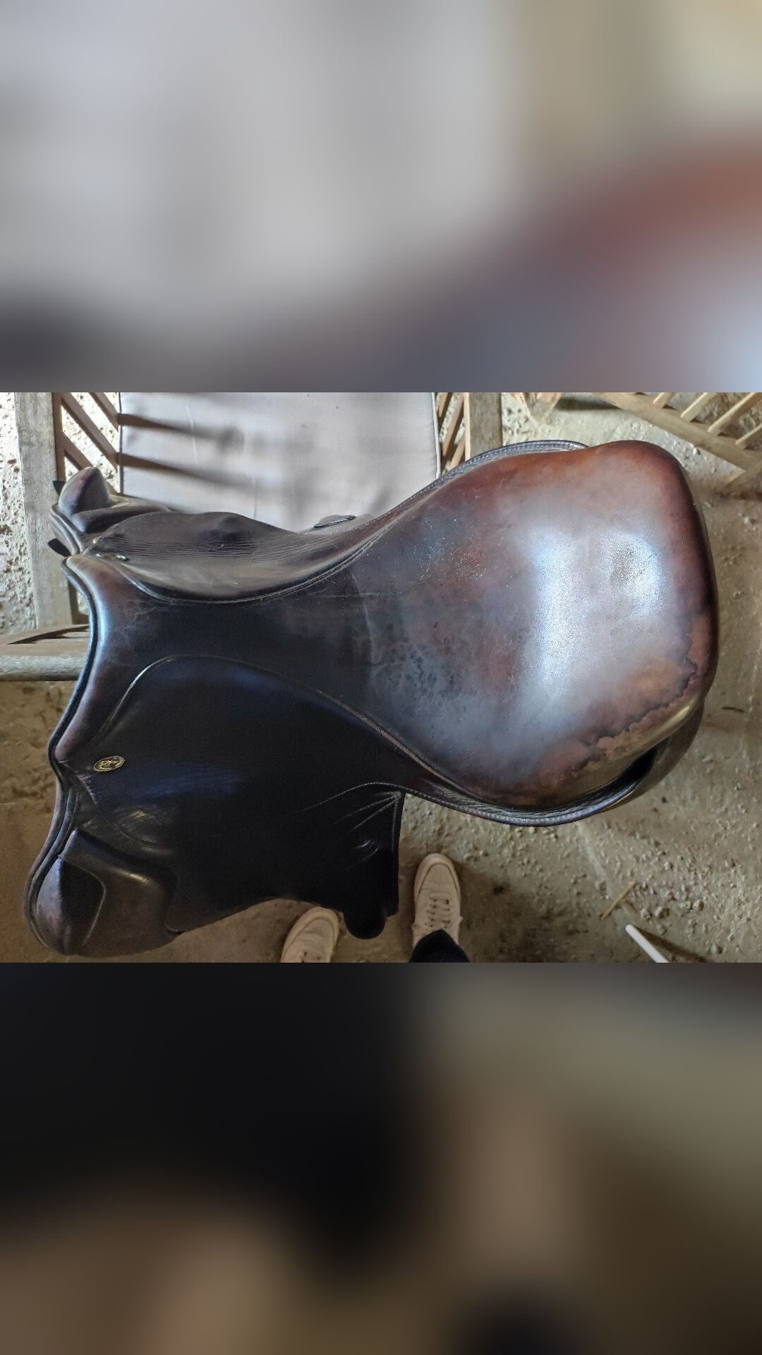 Selle Eric thomas cross lion monoquartier 17'5, média 3