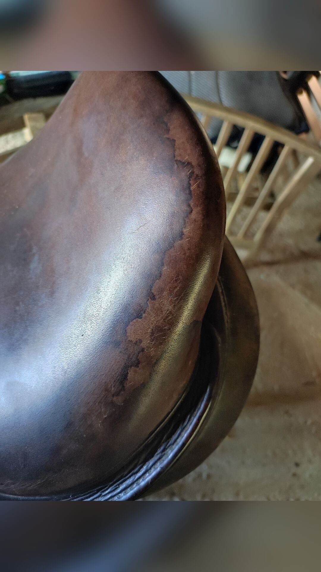 Selle Eric thomas cross lion monoquartier 17'5, média 4