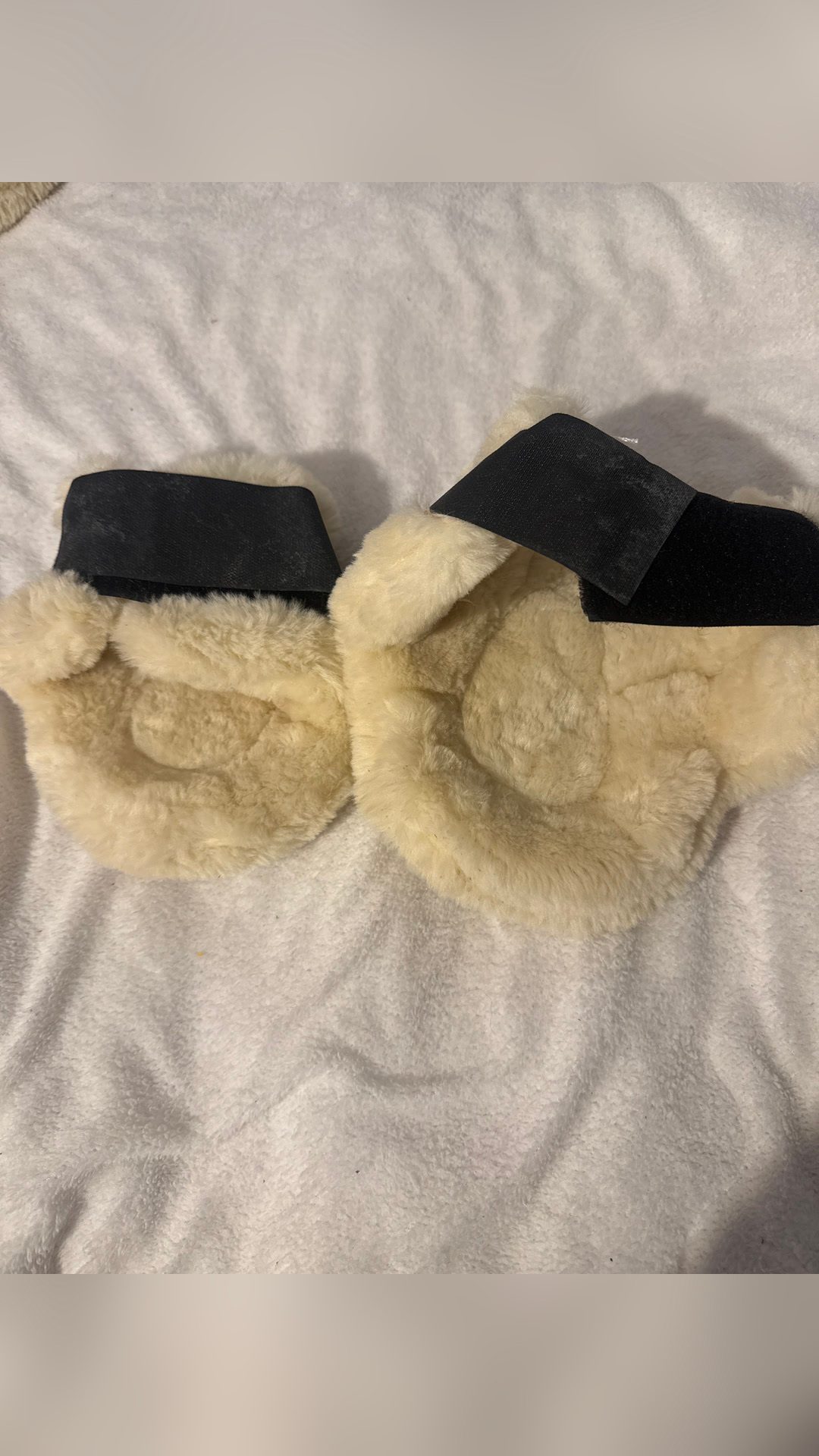 Protec en mouton, Norton, média 7