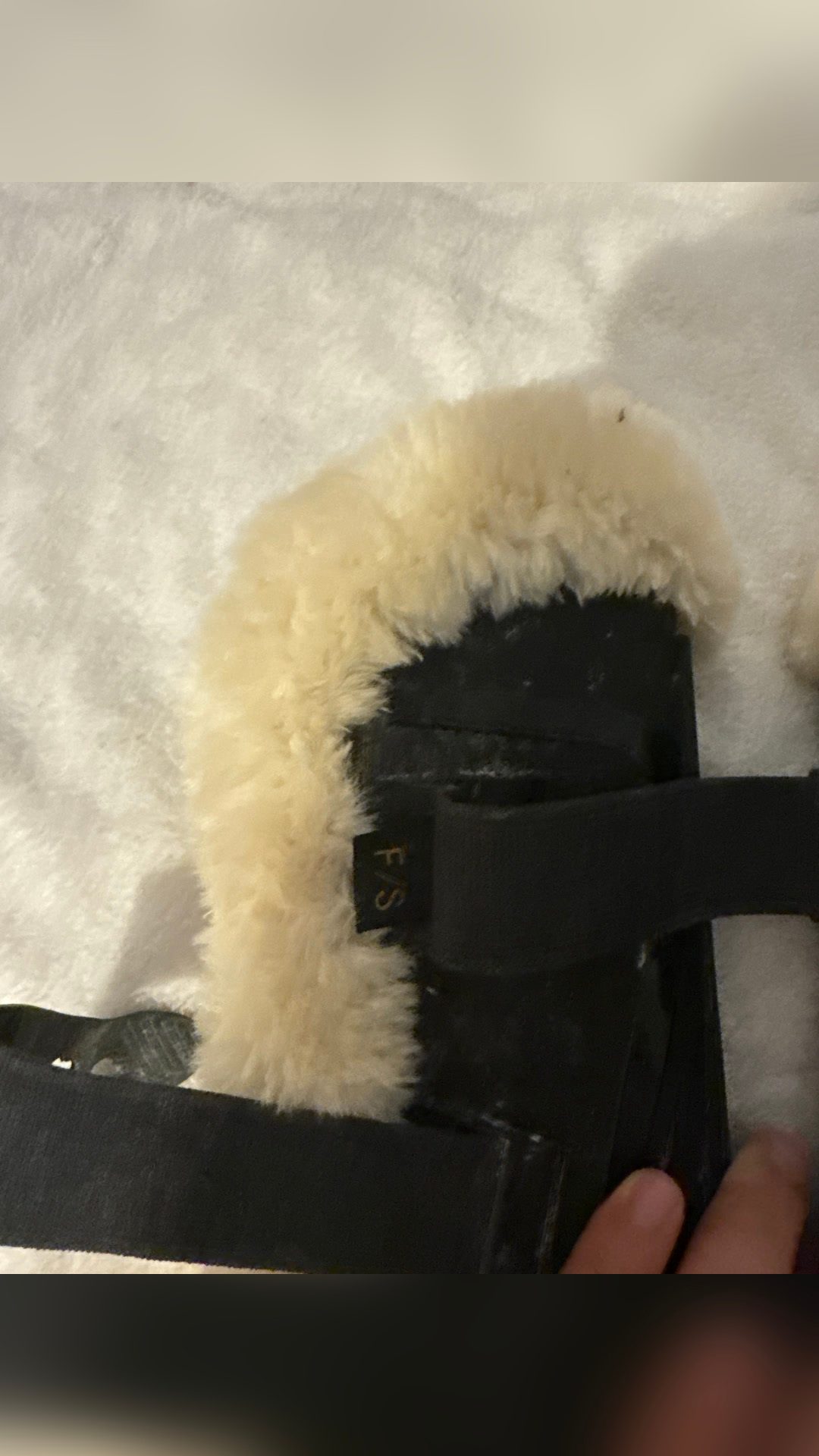 Protec en mouton, Norton, média 5