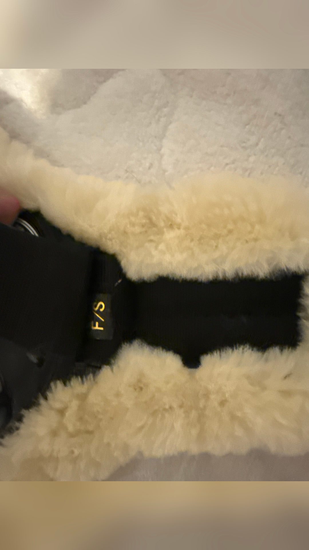 Protec en mouton, Norton, média 8