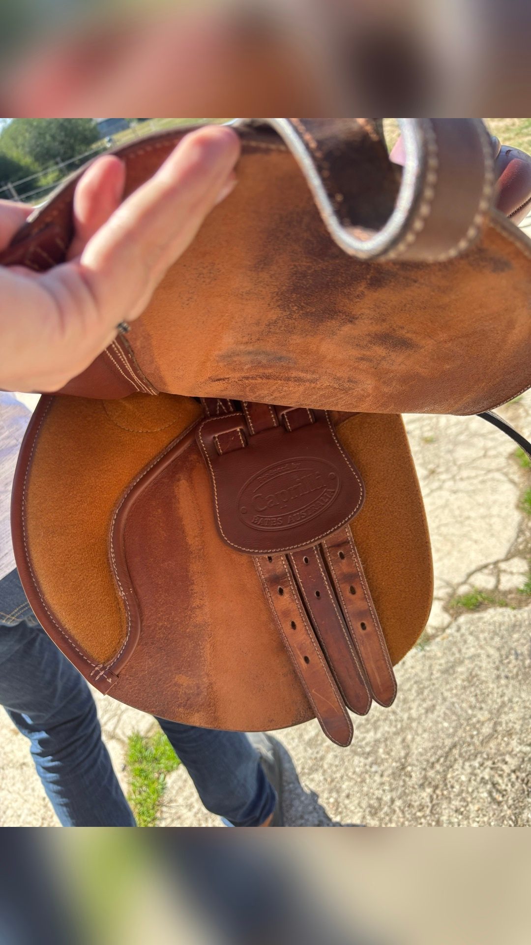 Selle Bates, média 4