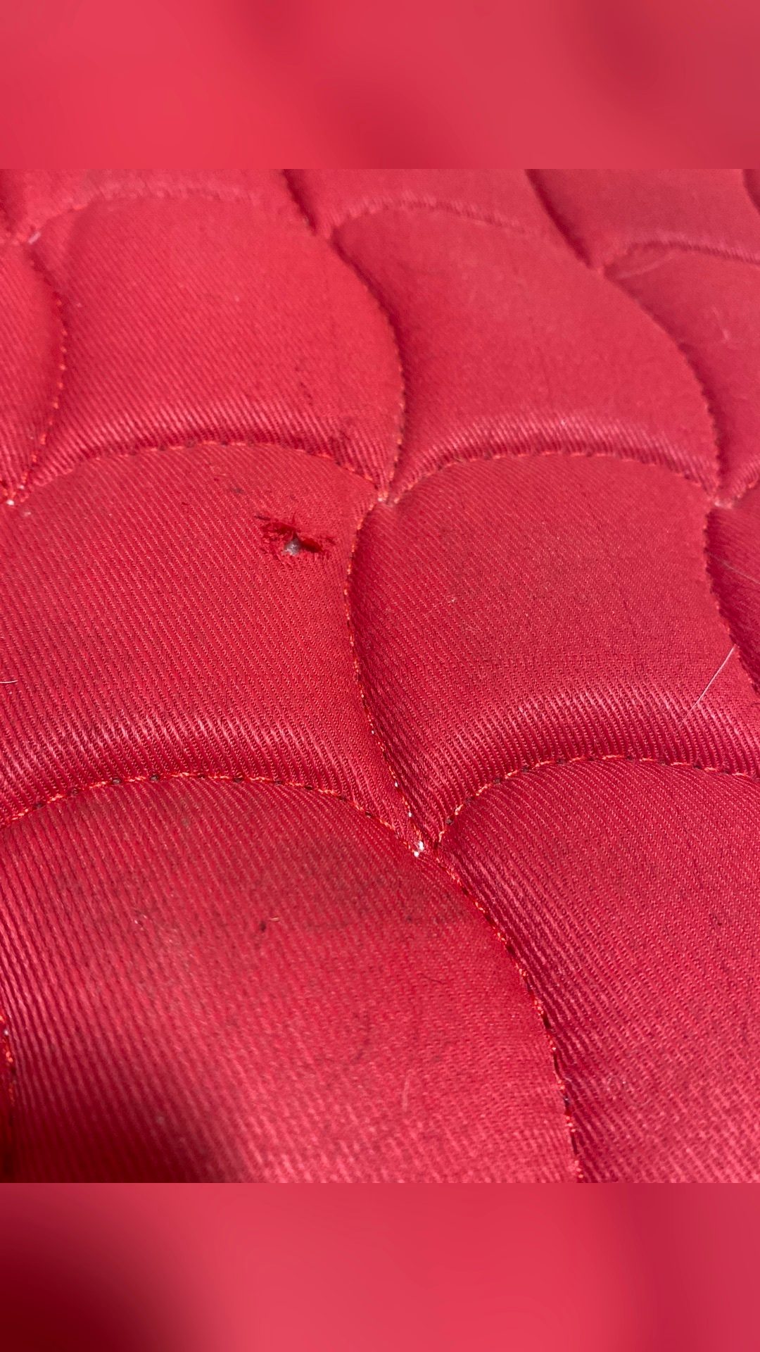 Tapis Equitheme rouge, média 4