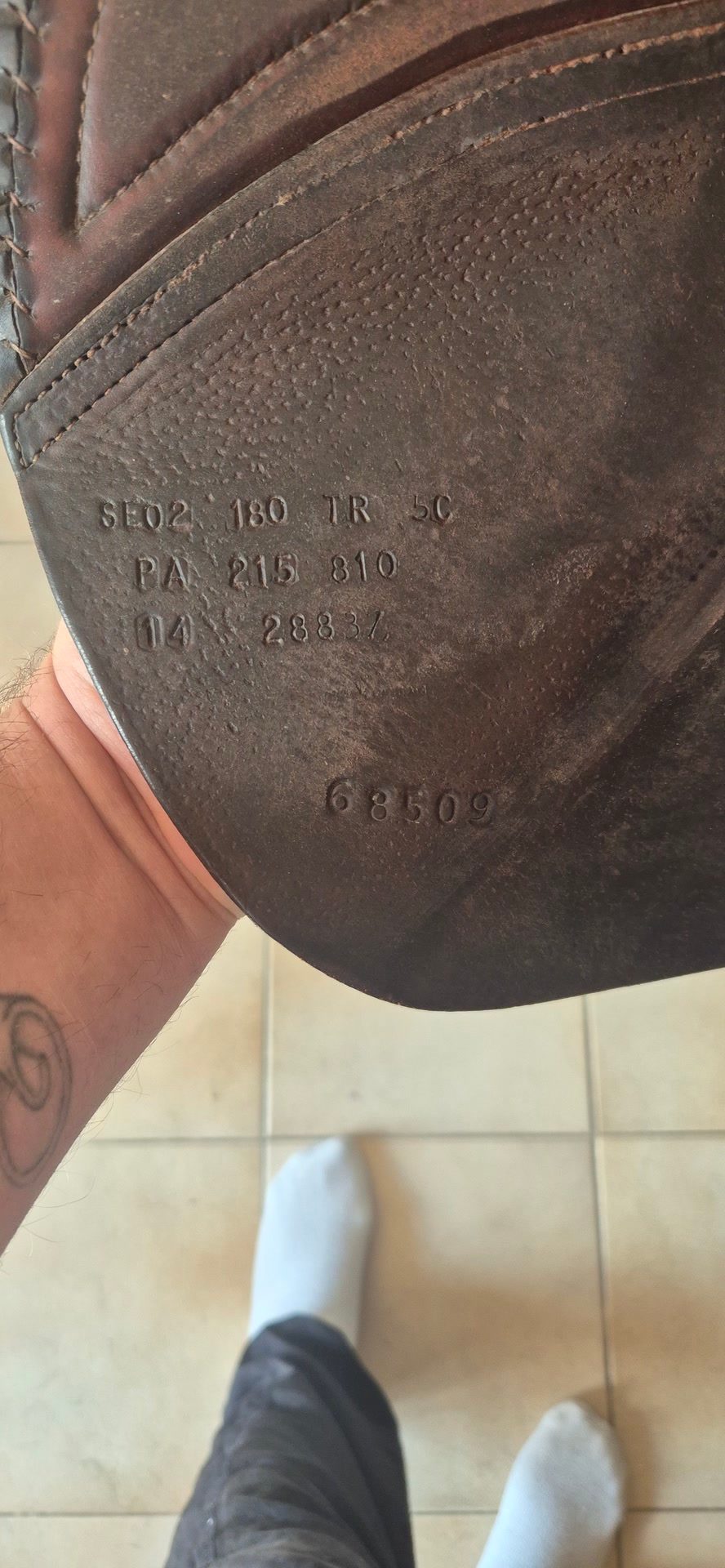 Selle cwd 18, média 8