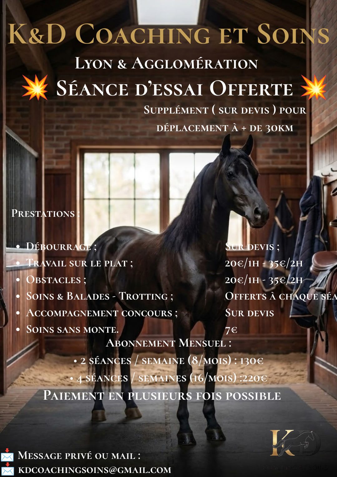 ✨ KD Coaching & Soins — L'Excellence Équestre à Lyon et sa Région ✨, média 2