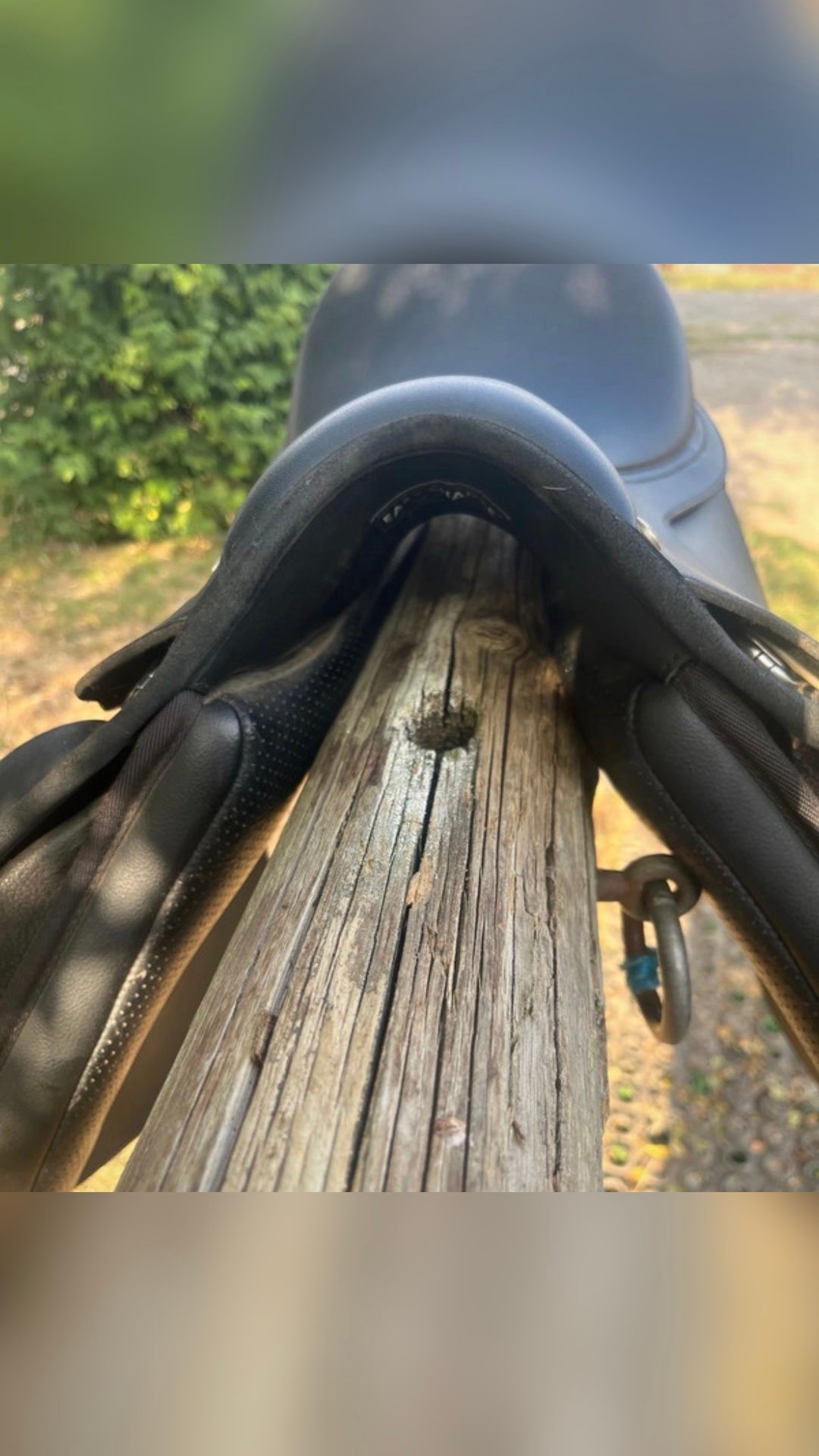 Selle mixte Wintec 16,5 pouces, média 3