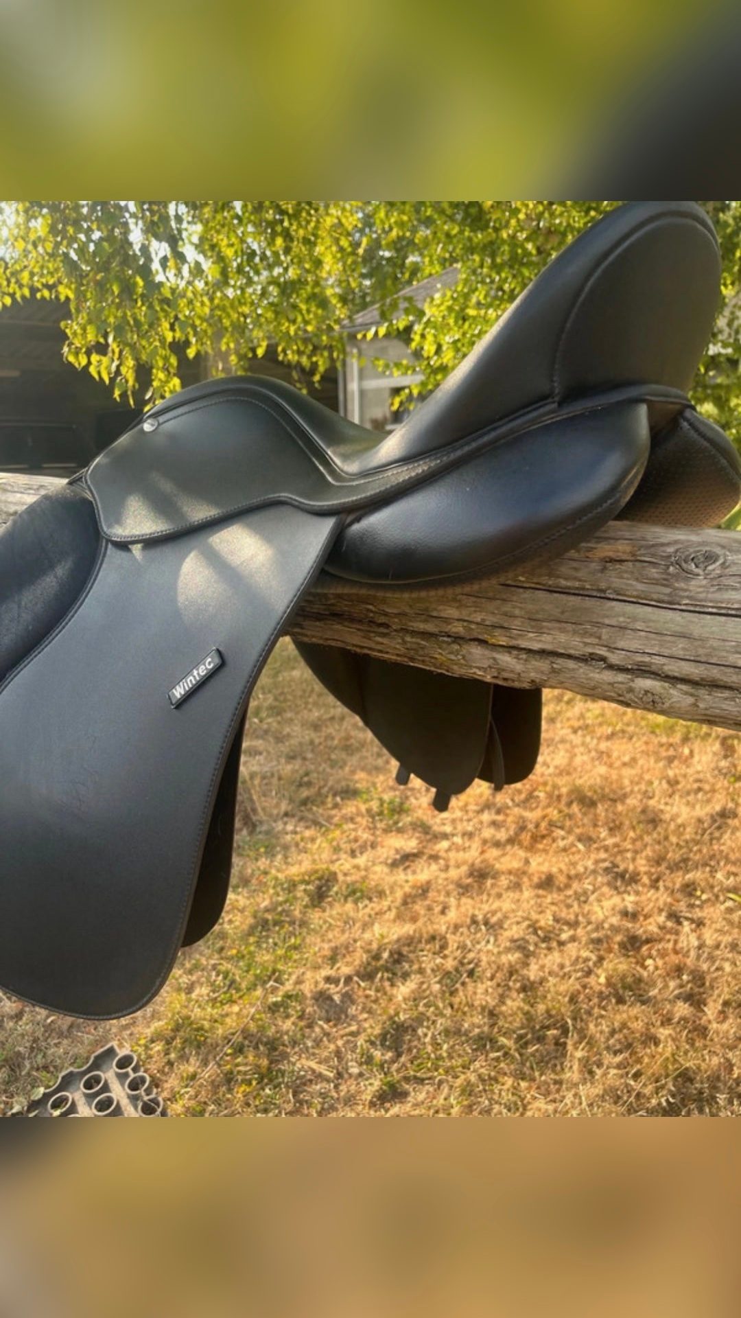 Selle mixte Wintec 16,5 pouces, média 2
