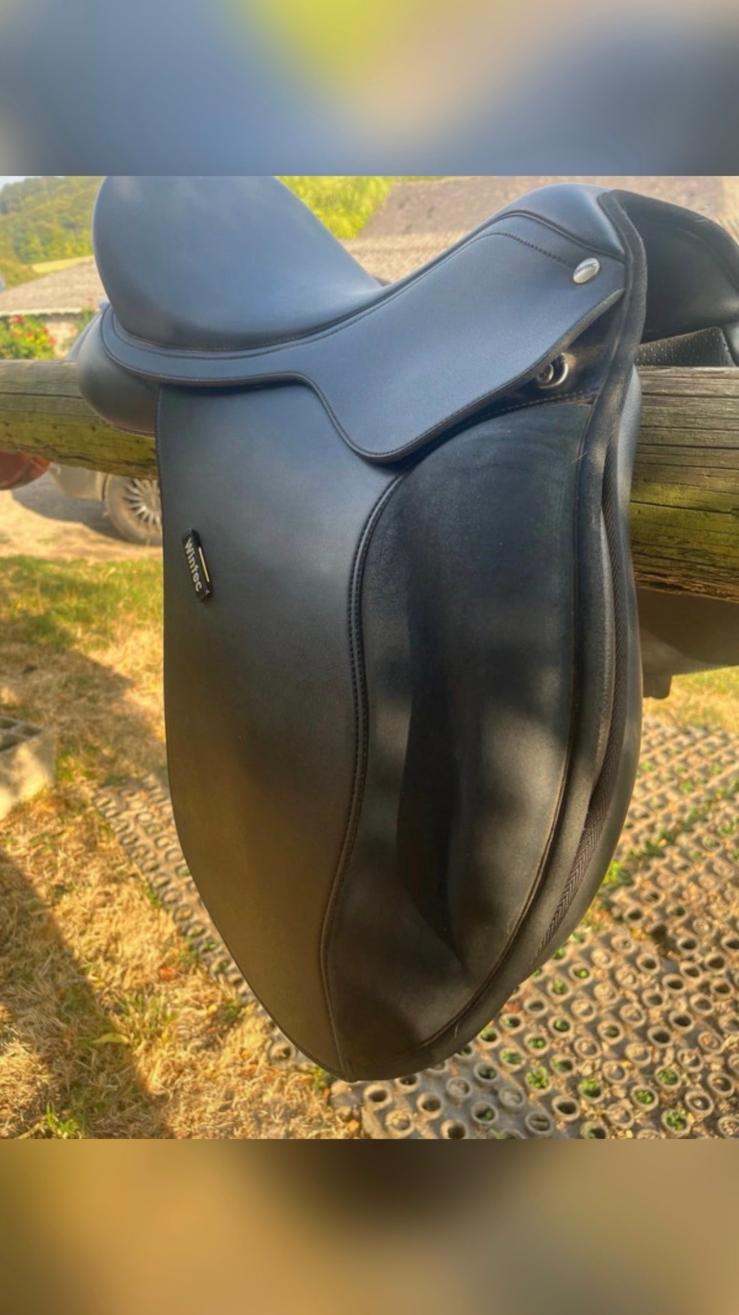 Selle mixte Wintec 16,5 pouces, média 5