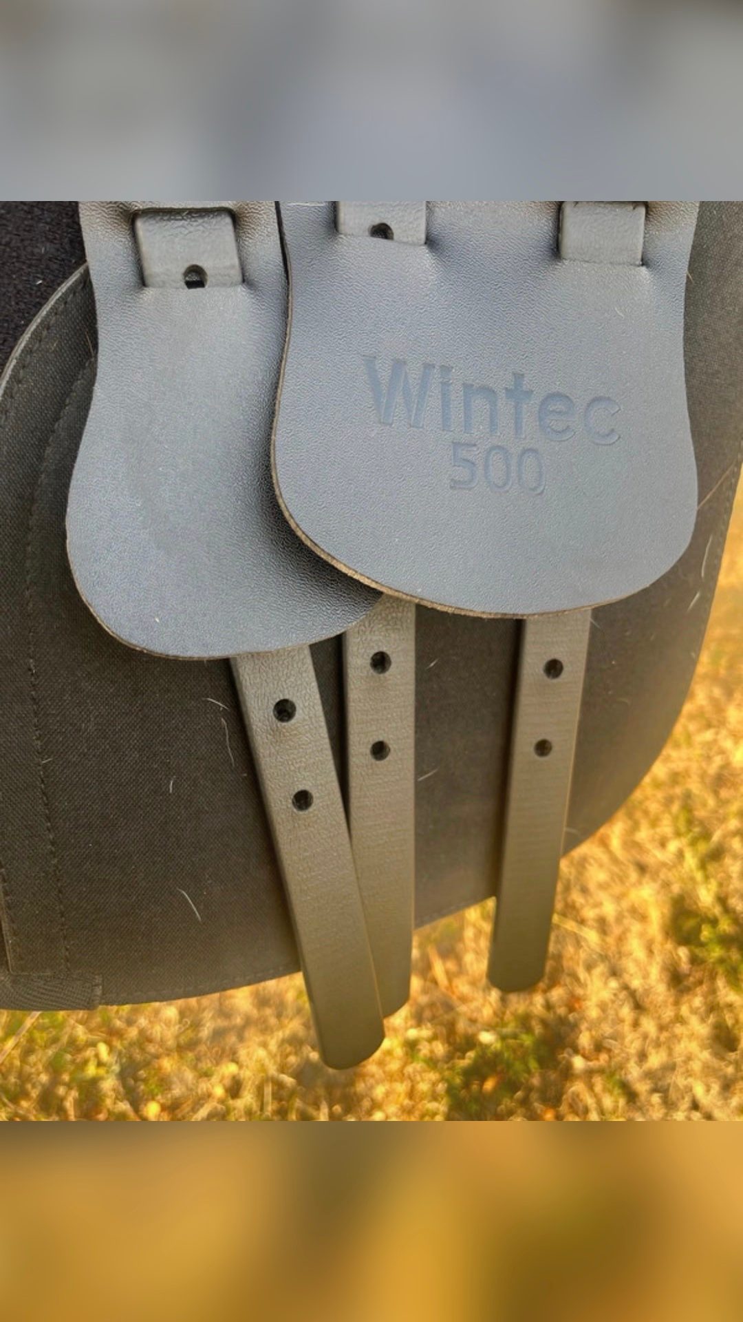 Selle mixte Wintec 16,5 pouces, média 8