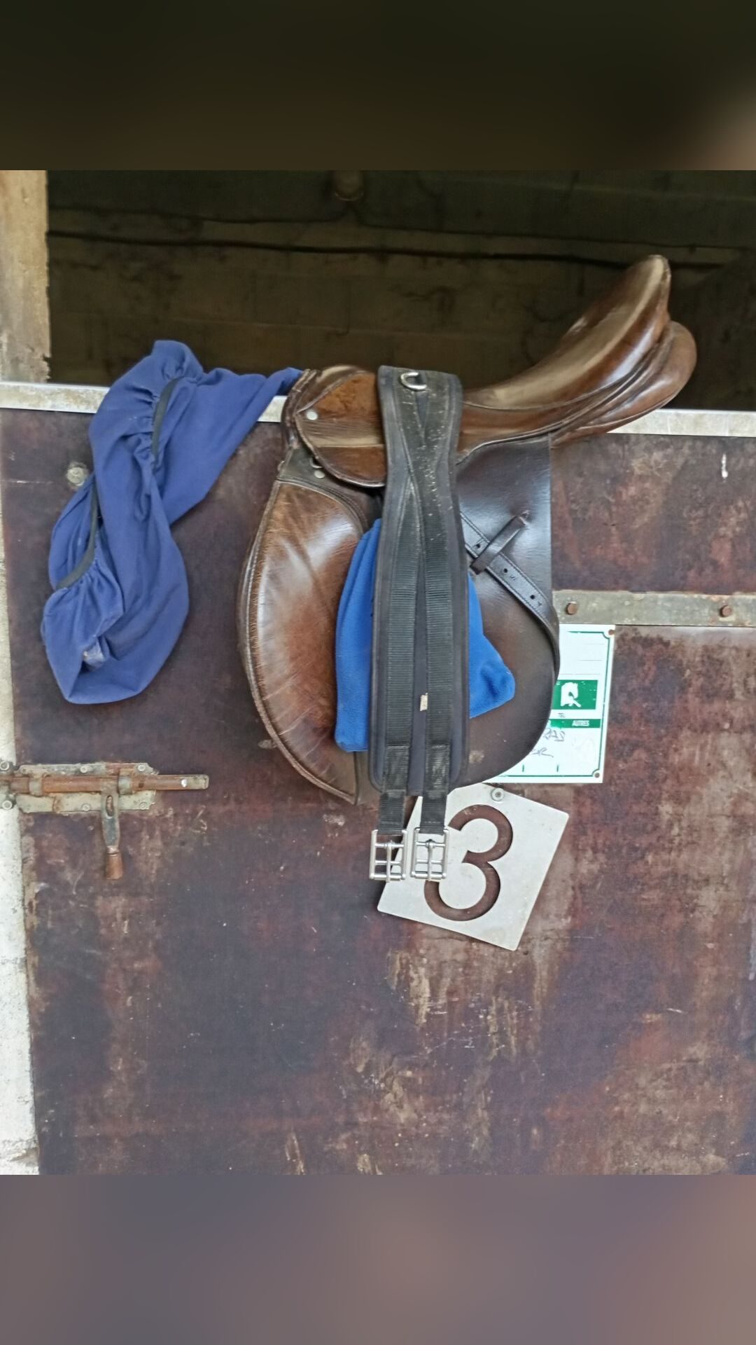 Selle mixte, média 6