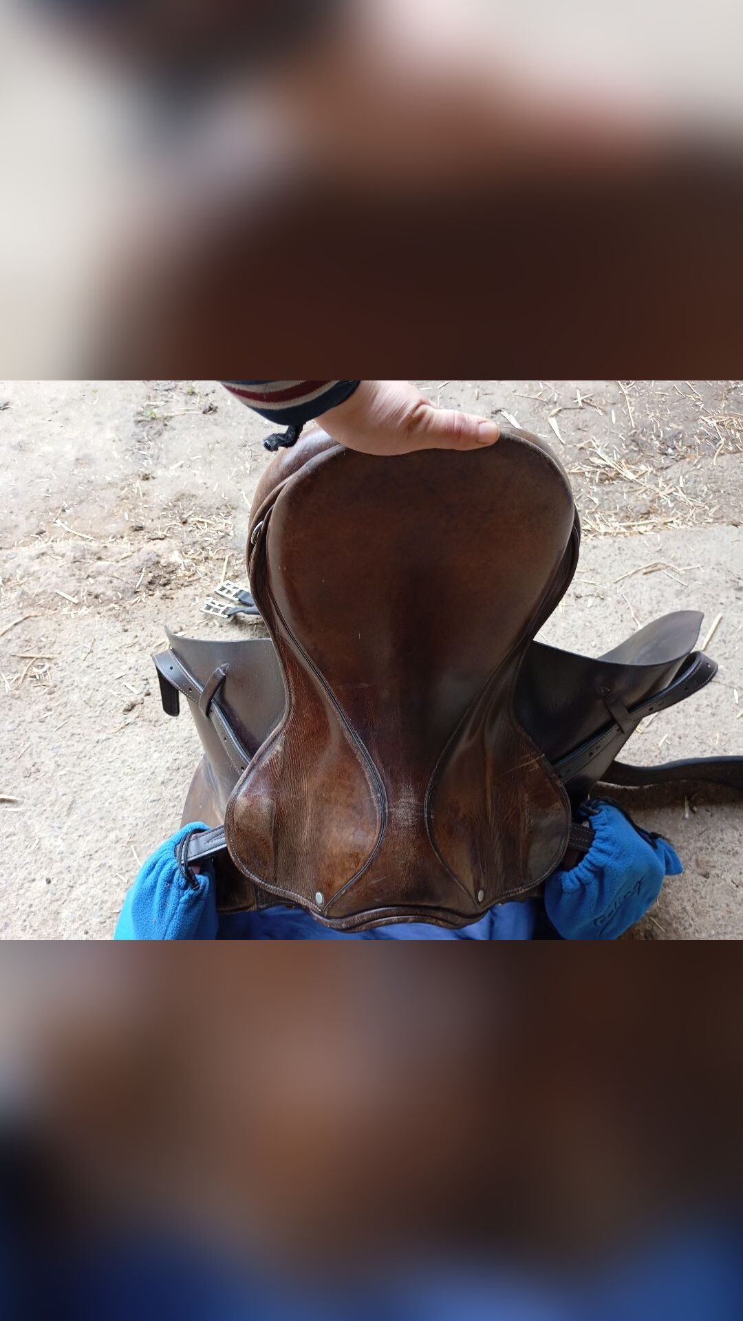 Selle mixte, média 4