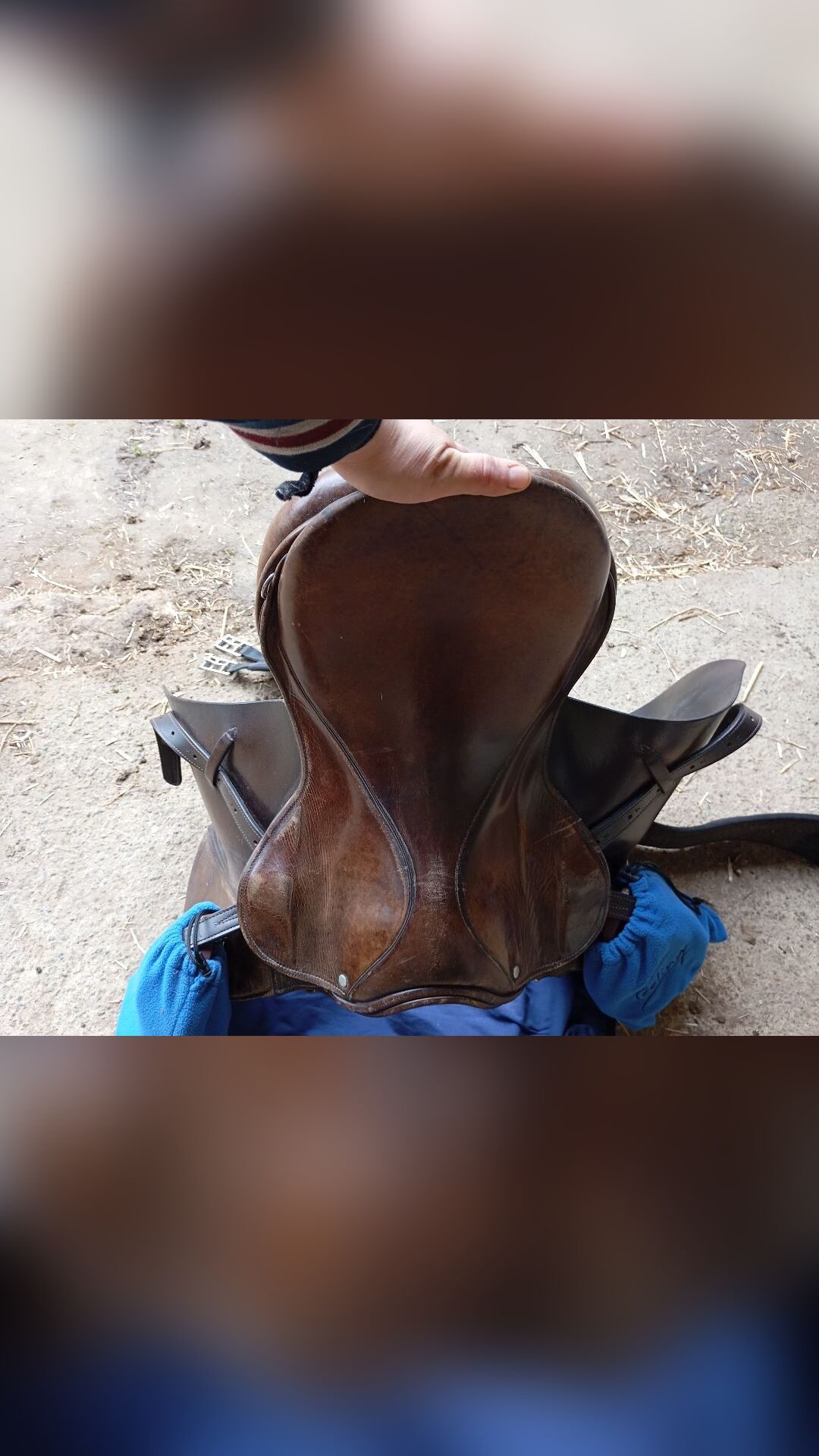 Selle mixte, média 5