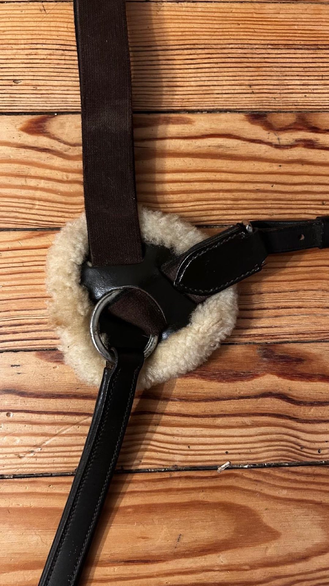 Collier de chasse taille cheval, média 3