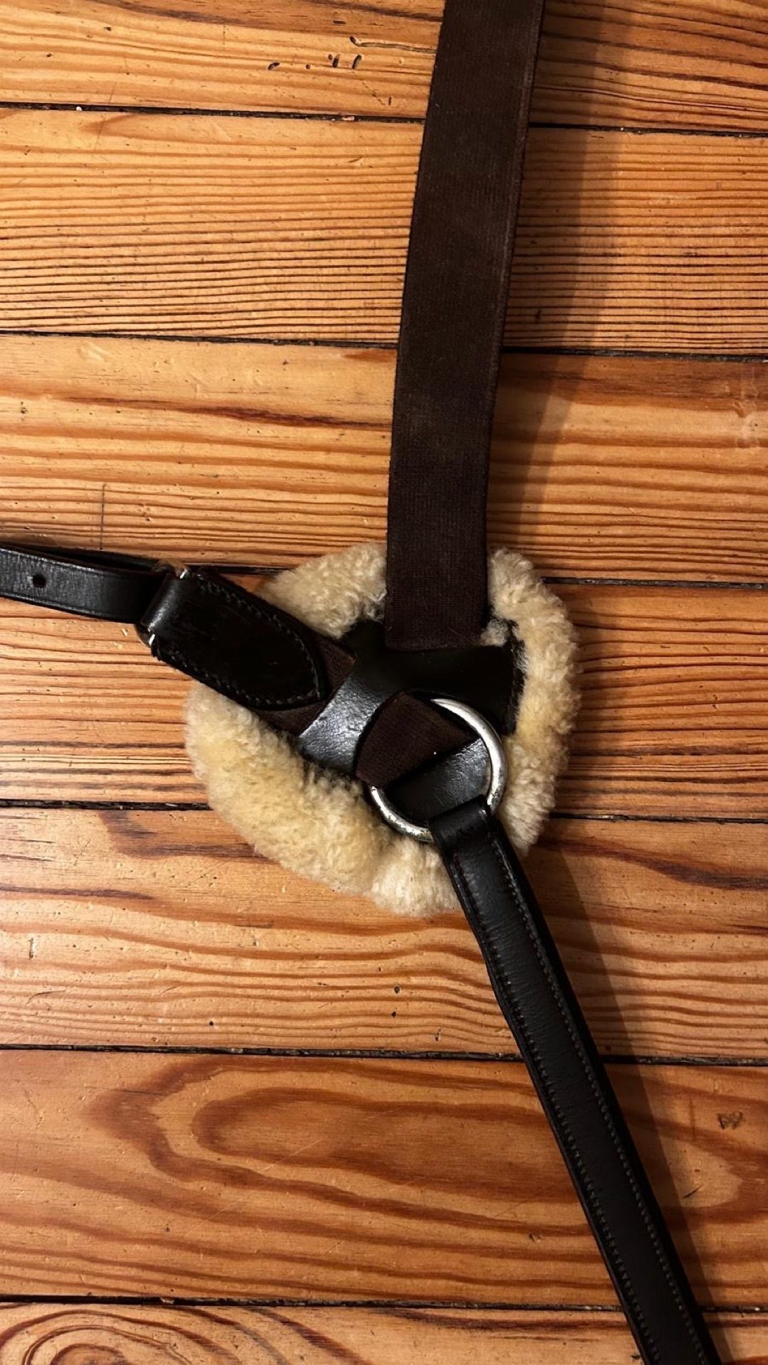 Collier de chasse taille cheval, média 4