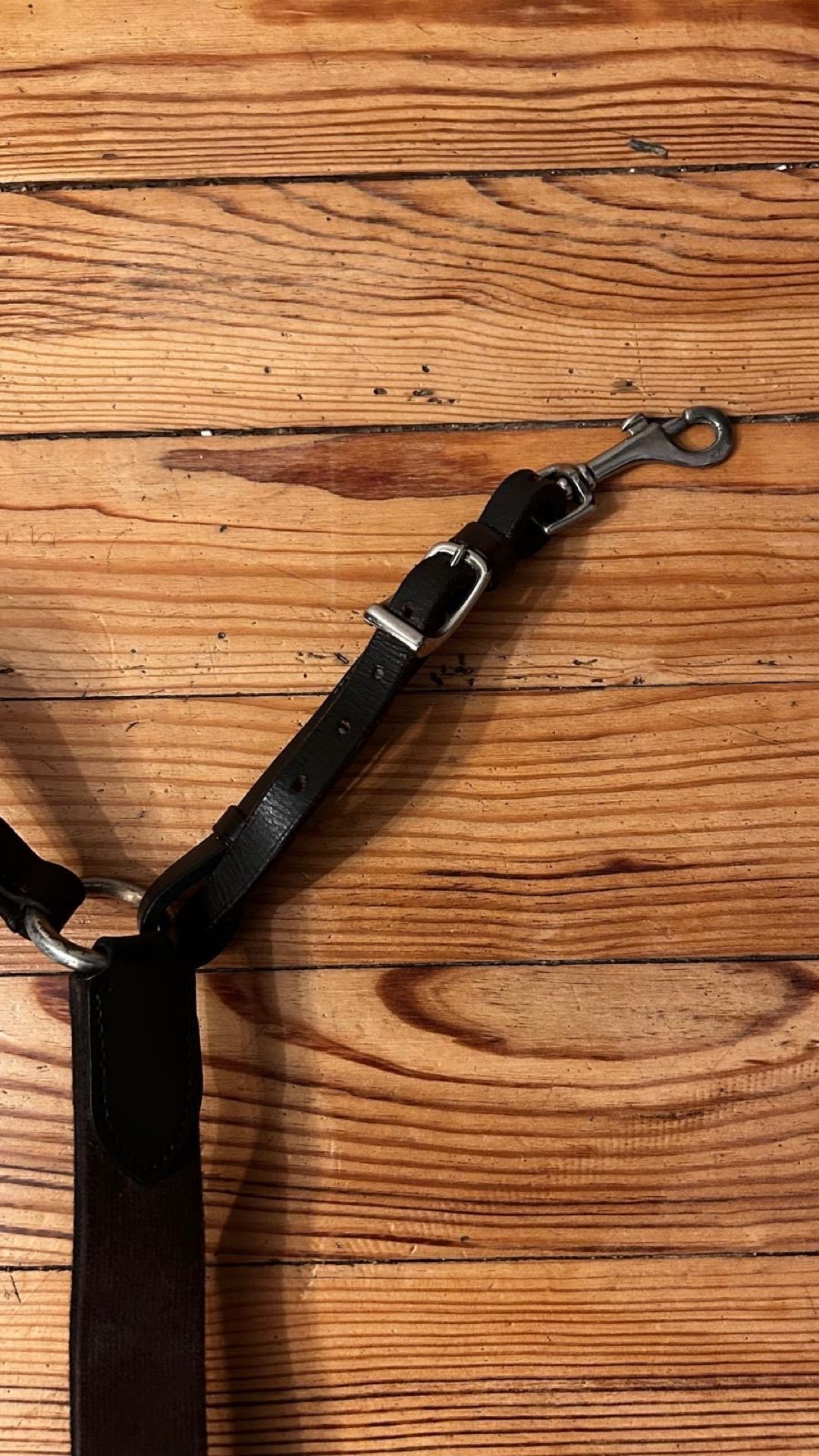 Collier de chasse taille cheval, média 5