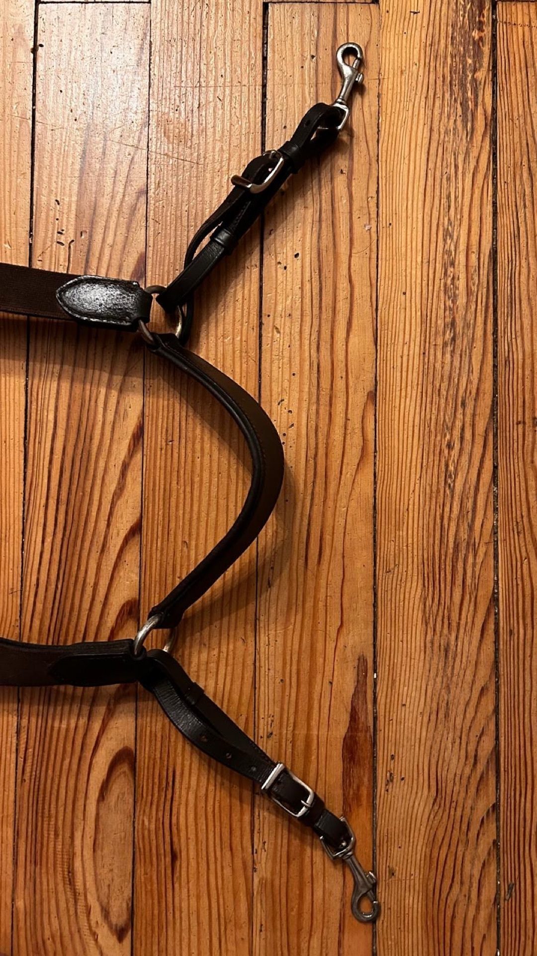 Collier de chasse taille cheval, média 6