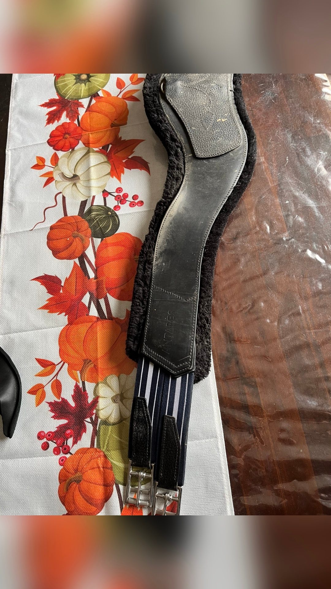 Selle Antarès 17,5pouces + étrivière + sangle, média 5