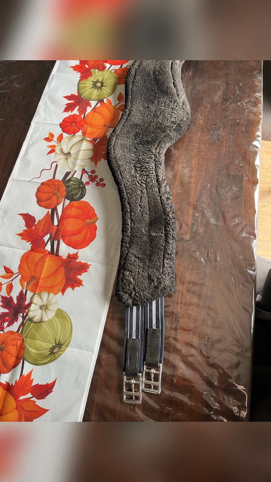 Selle Antarès 17,5pouces + étrivière + sangle, média 6